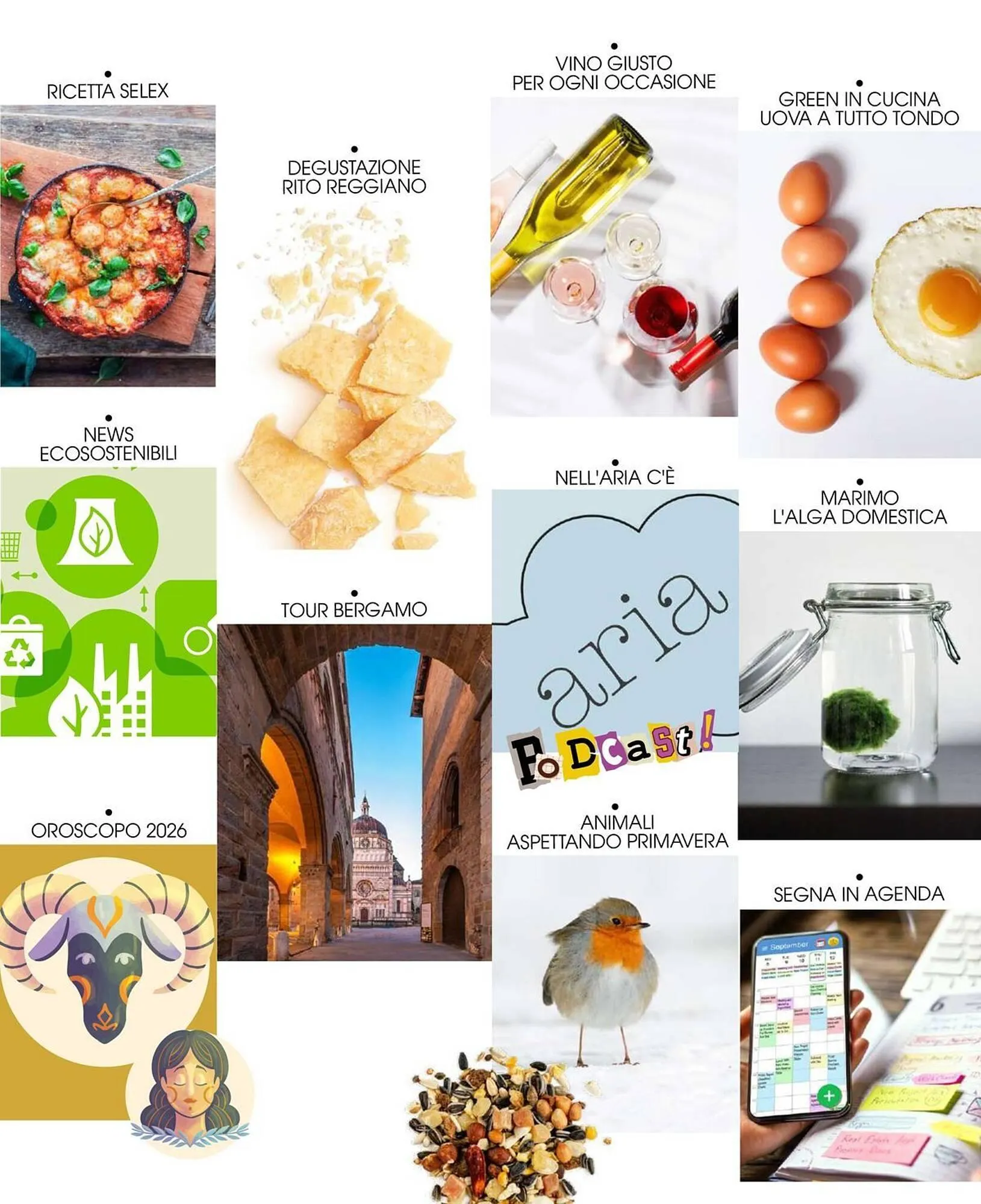 Volantino A&O da 1 gennaio a 28 febbraio di 2026 - Pagina del volantino 4