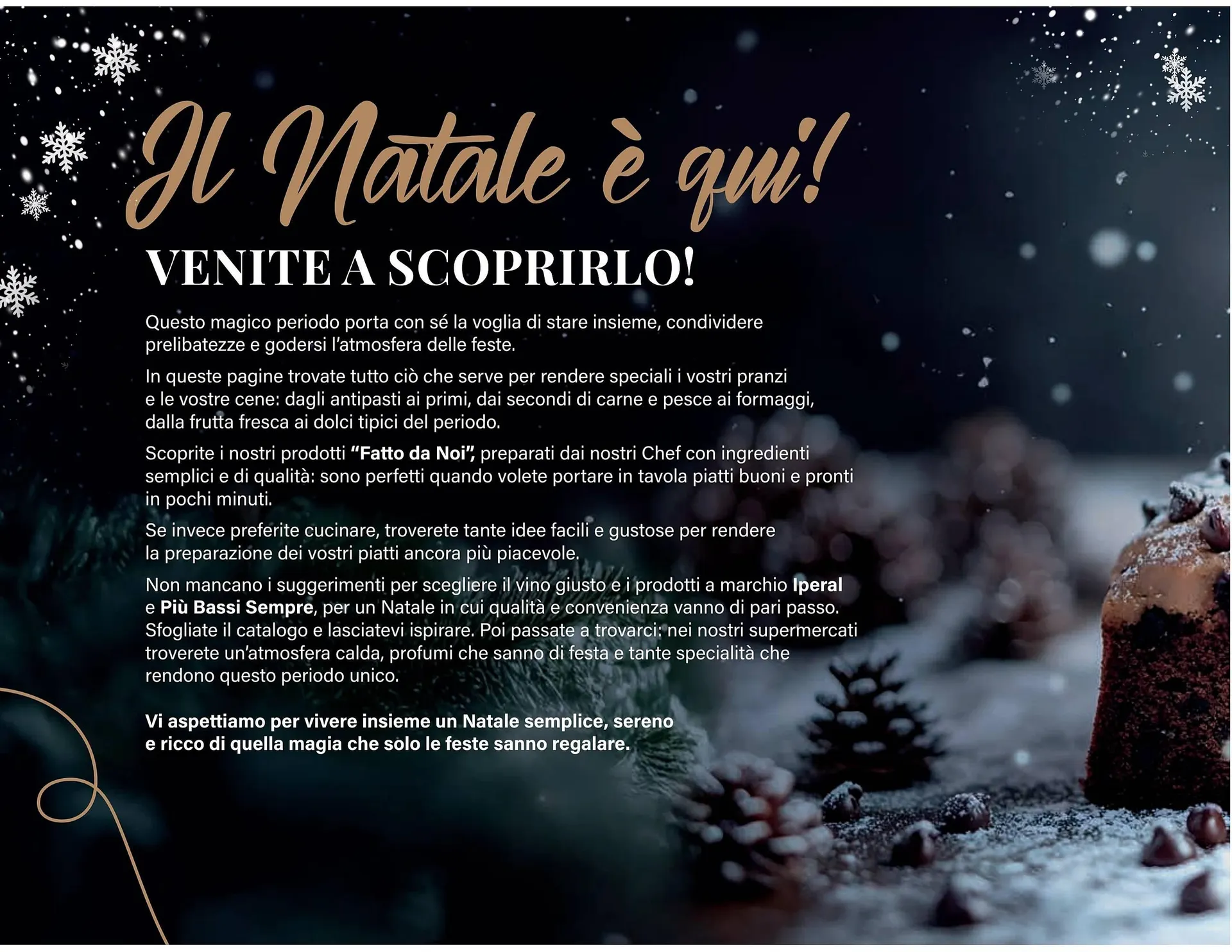 Volantino Iperal da 27 novembre a 31 dicembre di 2025 - Pagina del volantino 2
