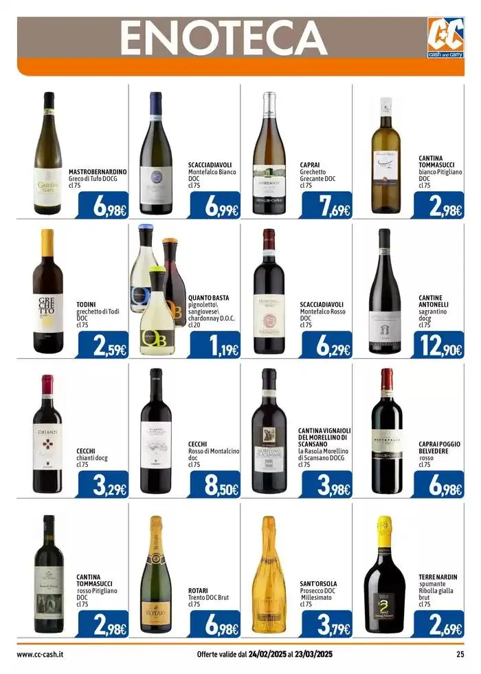 PROFESSIONAL da 24 febbraio a 23 marzo di 2025 - Pagina del volantino 25