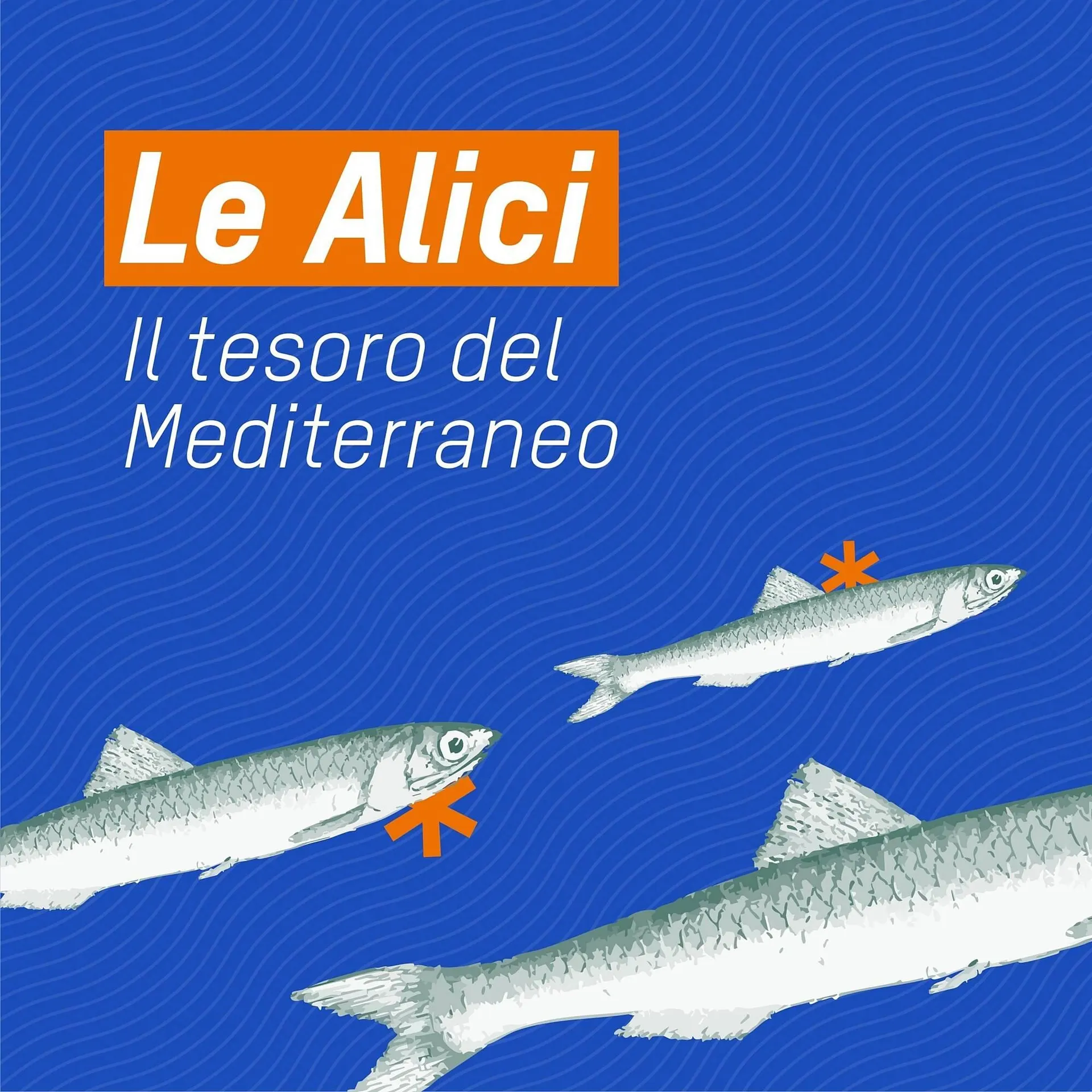 volantino Sole 365 da 2 settembre a 14 settembre di 2025 - Pagina del volantino 1