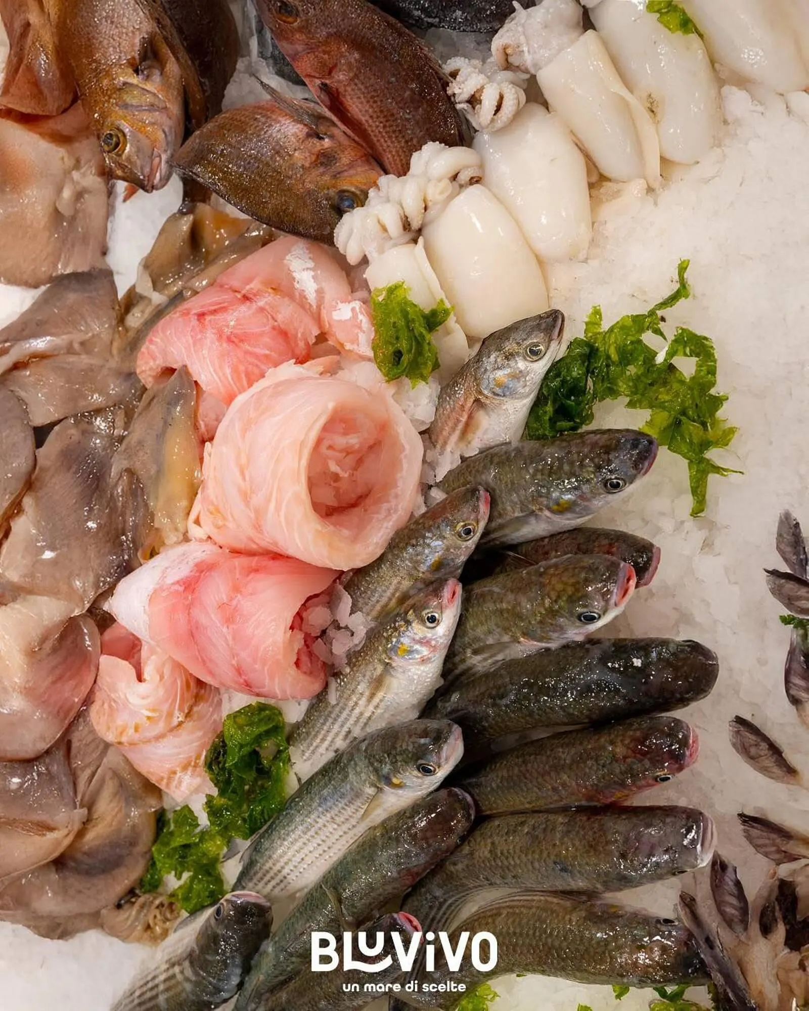 Volantino BluVivo da 22 luglio a 3 agosto di 2025 - Pagina del volantino 2