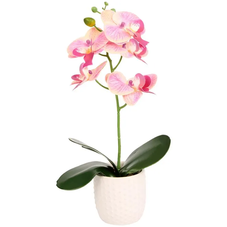 Orchidea finta in vaso Excellent Flowers