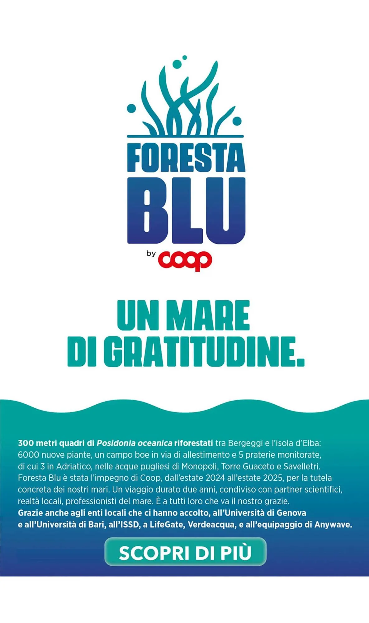 Volantino Ipercoop da 12 febbraio a 4 marzo di 2026 - Pagina del volantino 18