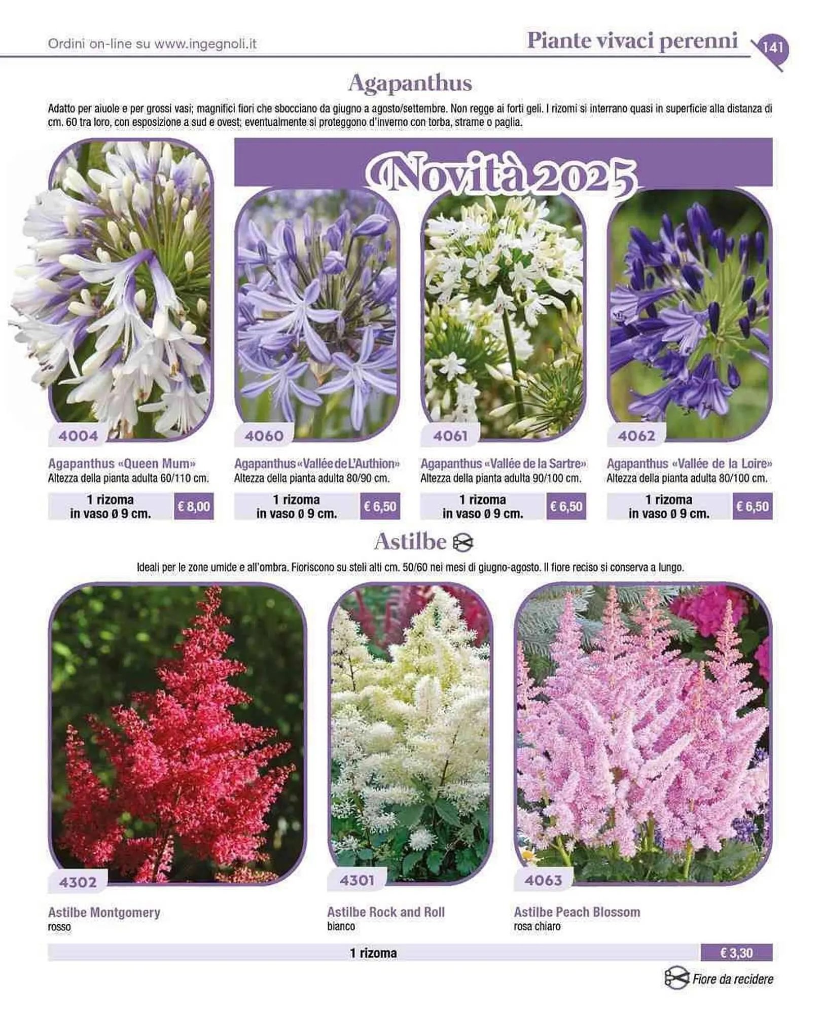 Volantino Ingegnoli da 4 novembre a 31 dicembre di 2025 - Pagina del volantino 14