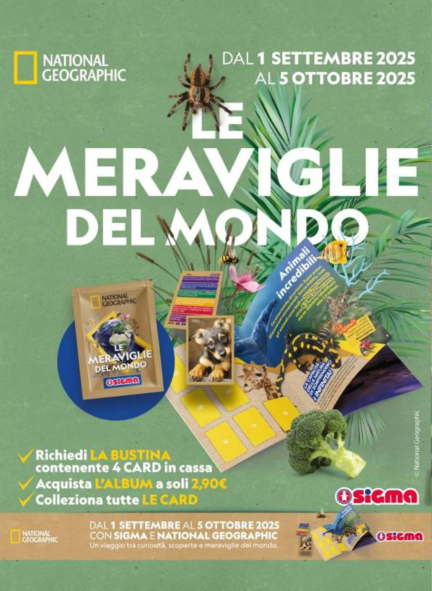 Volantino Ok Sigma da 27 agosto a 10 settembre di 2025 - Pagina del volantino 8