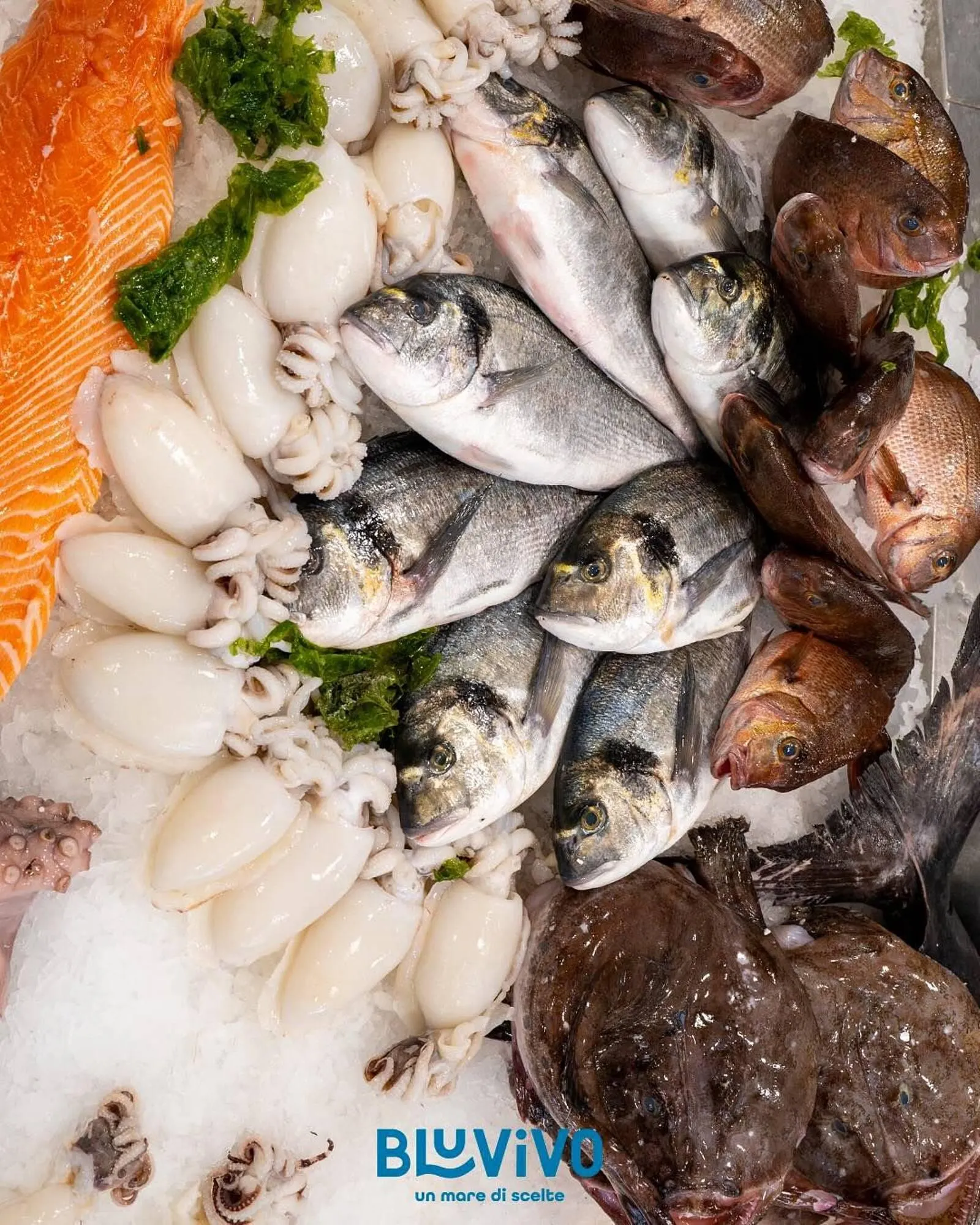 Volantino BluVivo da 22 luglio a 3 agosto di 2025 - Pagina del volantino 1