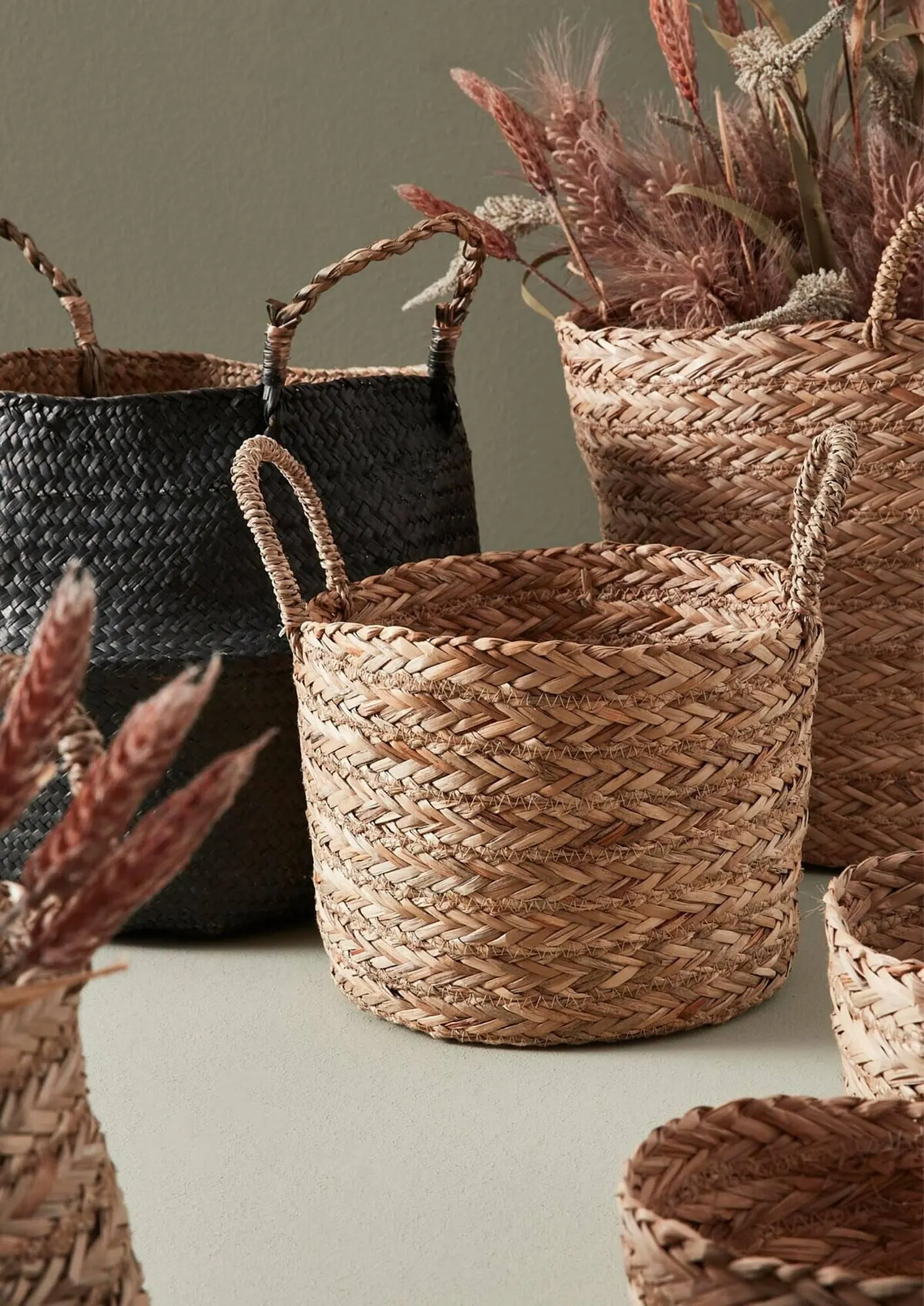 Volantino Bizzotto da 20 settembre a 28 dicembre di 2024 - Pagina del volantino 205