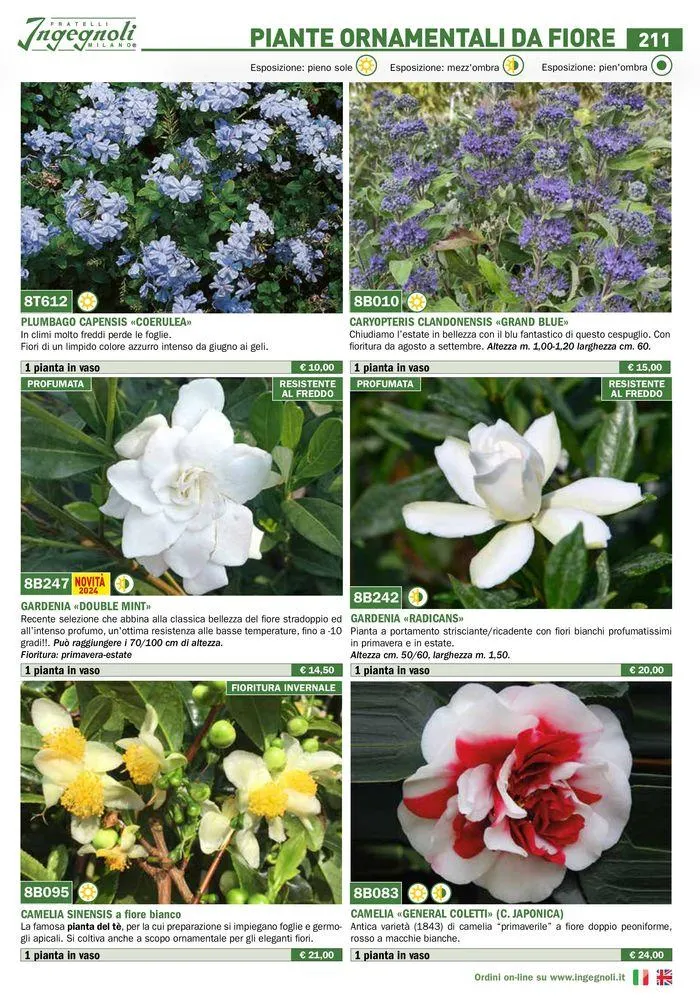 Catalogo guida 2024 da 25 marzo a 31 dicembre di 2024 - Pagina del volantino 213