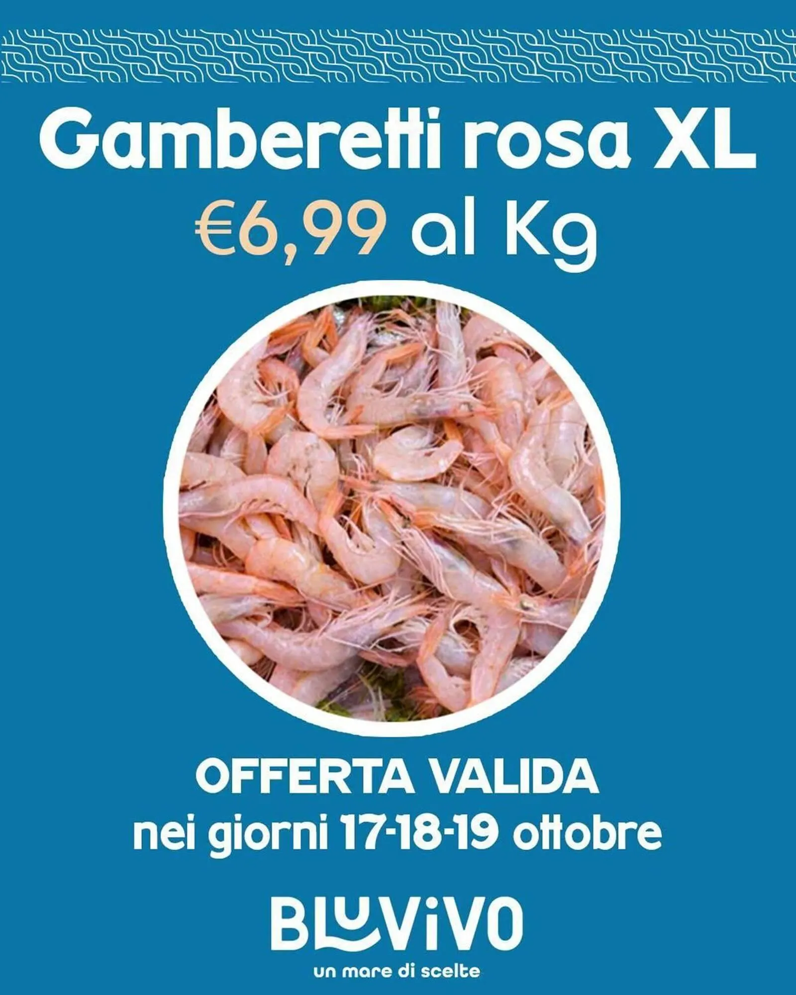 Volantino BluVivo da 17 ottobre a 19 ottobre di 2025 - Pagina del volantino 1