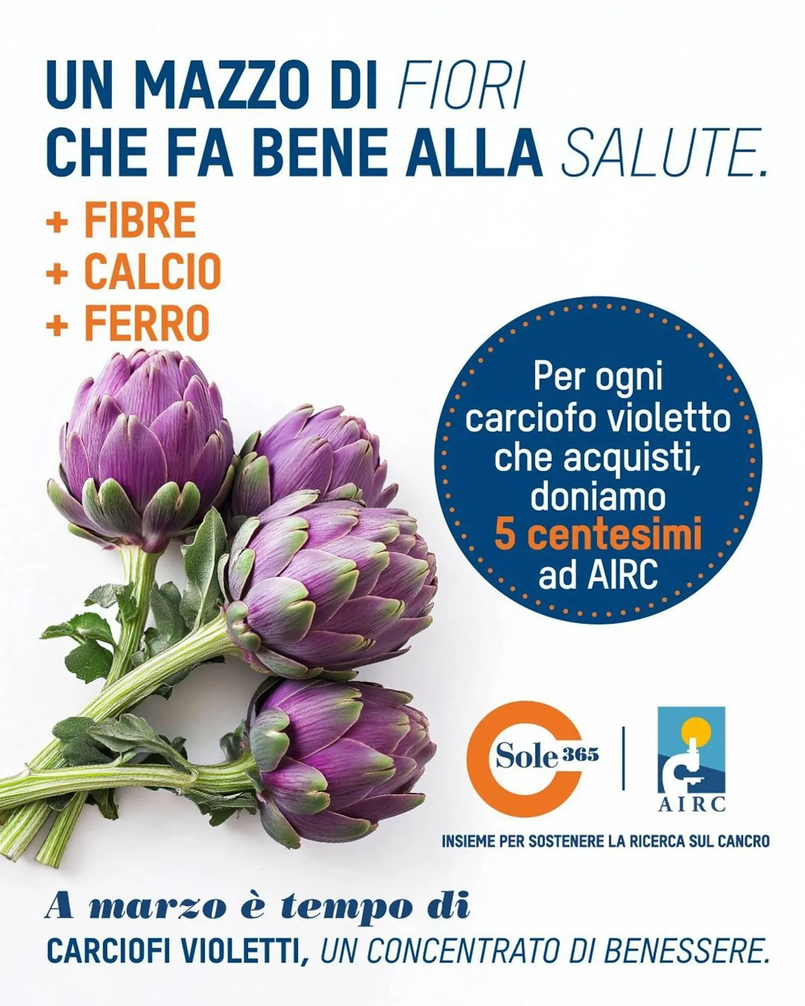 Volantino Sole 365 - 1