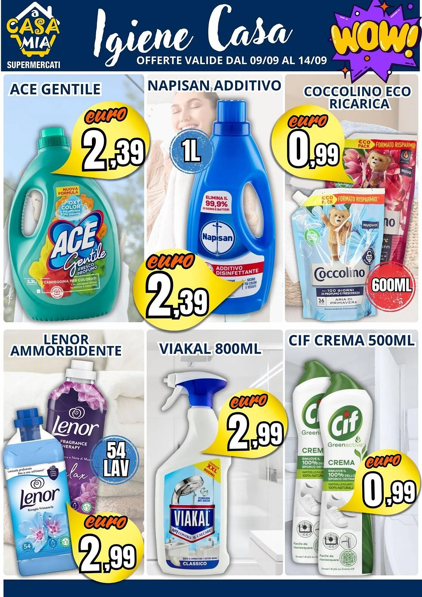 Volantino A Casa Mia da 9 settembre a 14 settembre di 2025 - Pagina del volantino 13