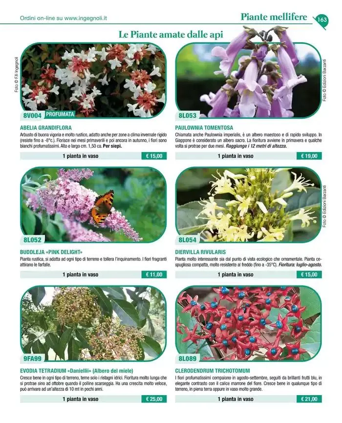 Catalogo guida 2025 da 20 gennaio a 31 dicembre di 2025 - Pagina del volantino 165