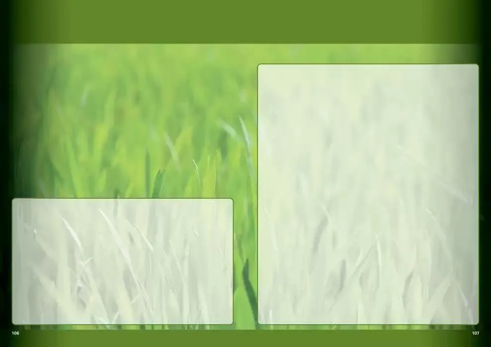 Planet da 1 aprile a 30 settembre di 2025 - Pagina del volantino 55