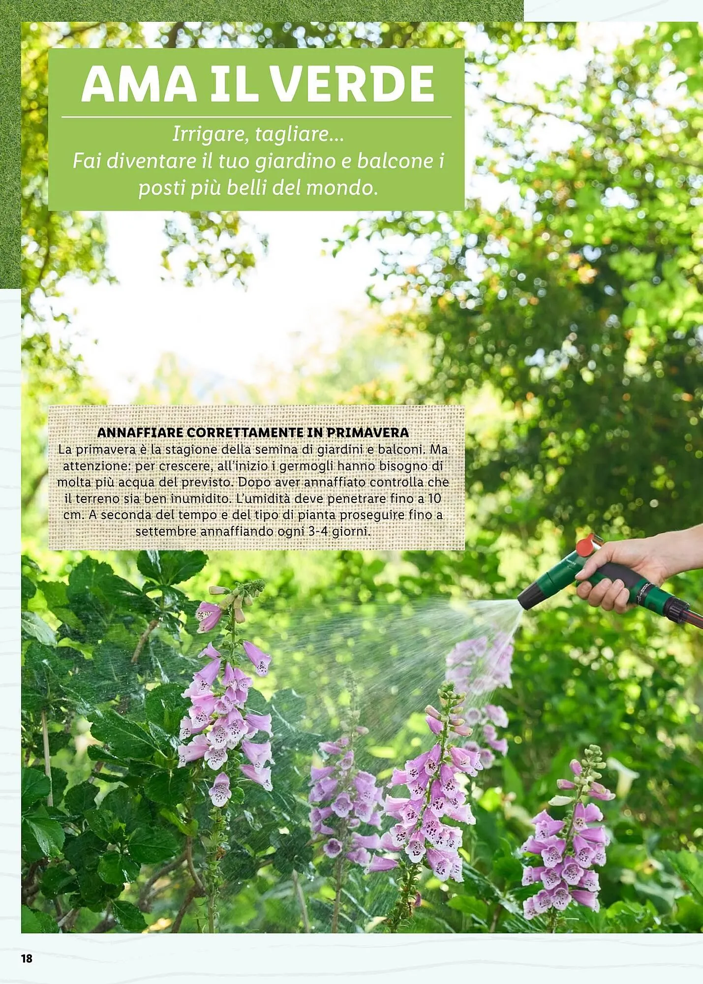 Volantino Lidl da 4 aprile a 31 maggio di 2025 - Pagina del volantino 18