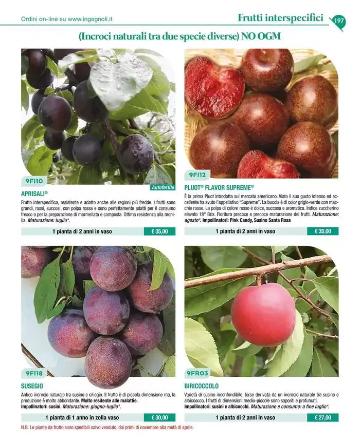 Catalogo guida 2025 da 20 gennaio a 31 dicembre di 2025 - Pagina del volantino 199