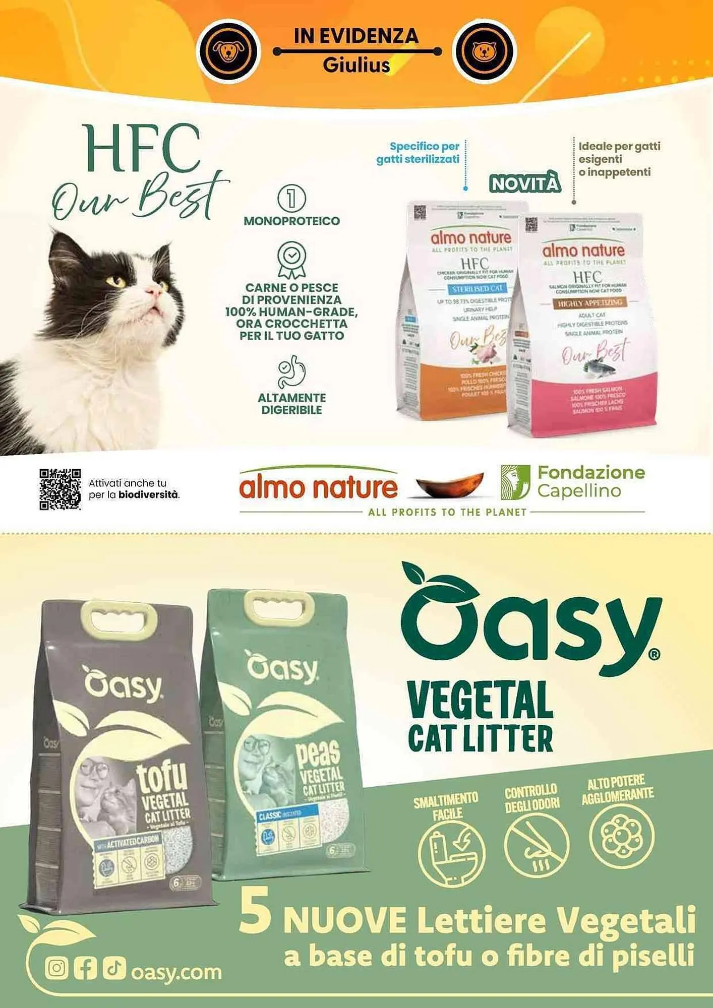 Volantino Giulius da 1 settembre a 31 ottobre di 2025 - Pagina del volantino 2