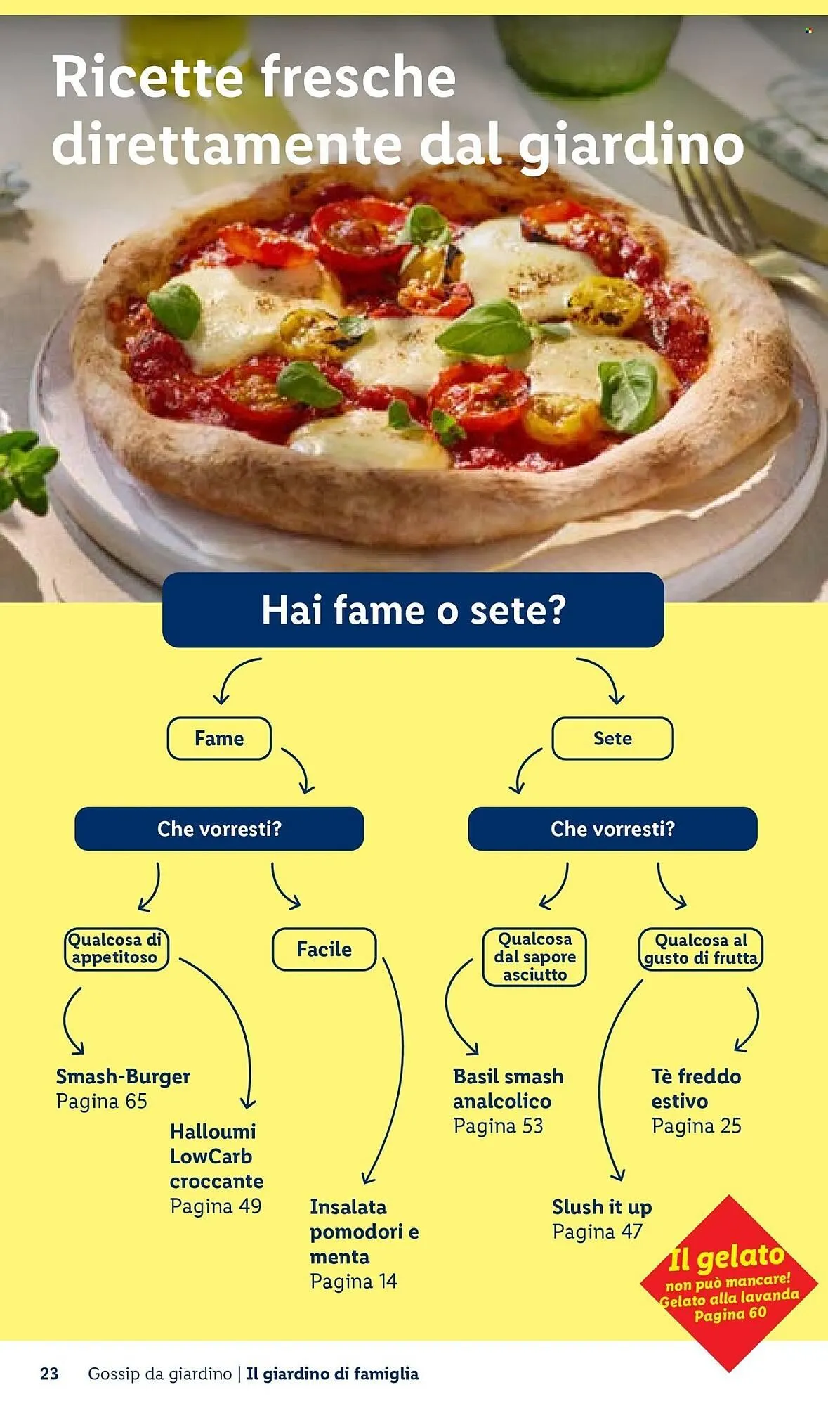 Volantino Lidl da 22 aprile a 30 aprile di 2026 - Pagina del volantino 23