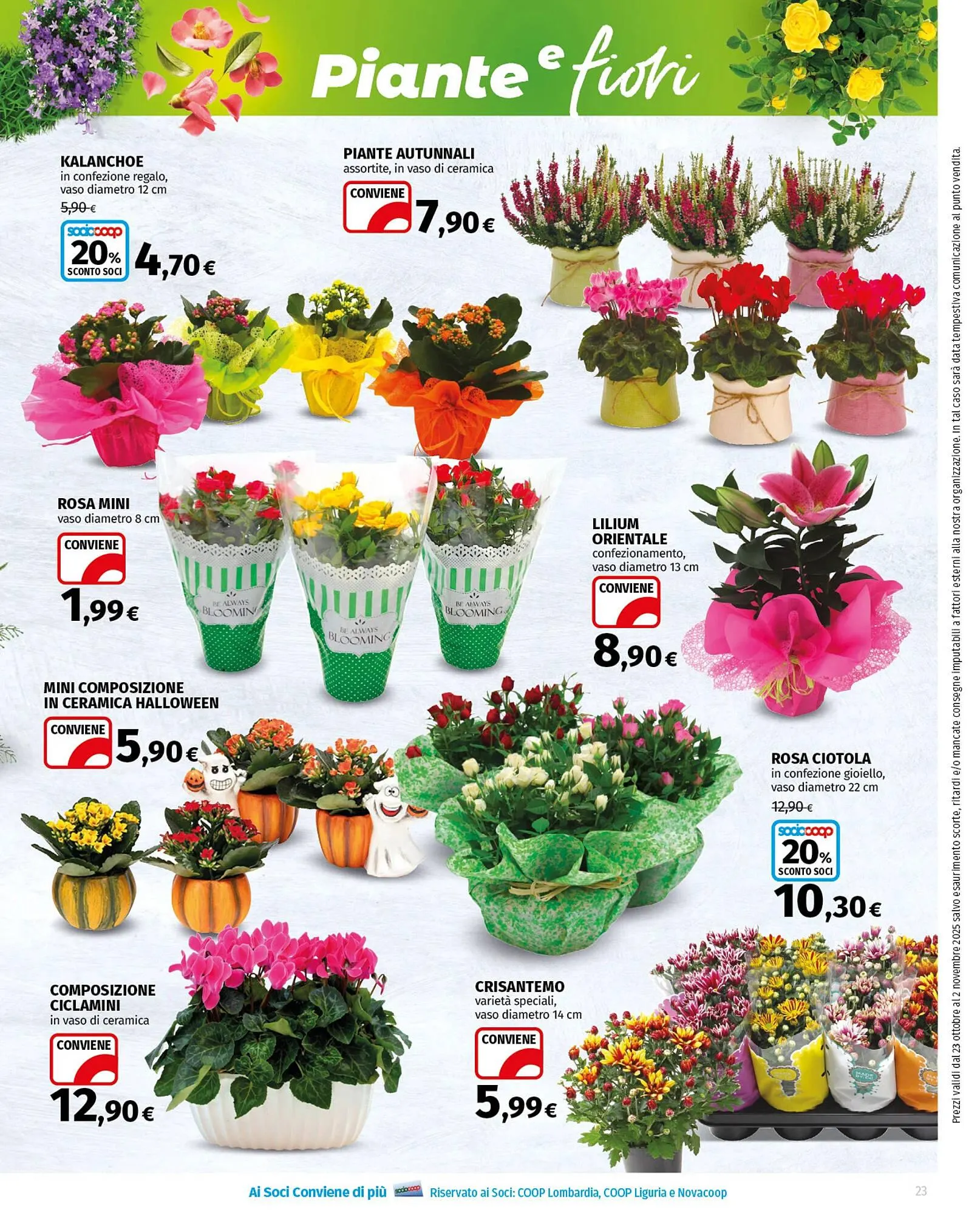 Volantino Ipercoop da 23 ottobre a 5 novembre di 2025 - Pagina del volantino 23