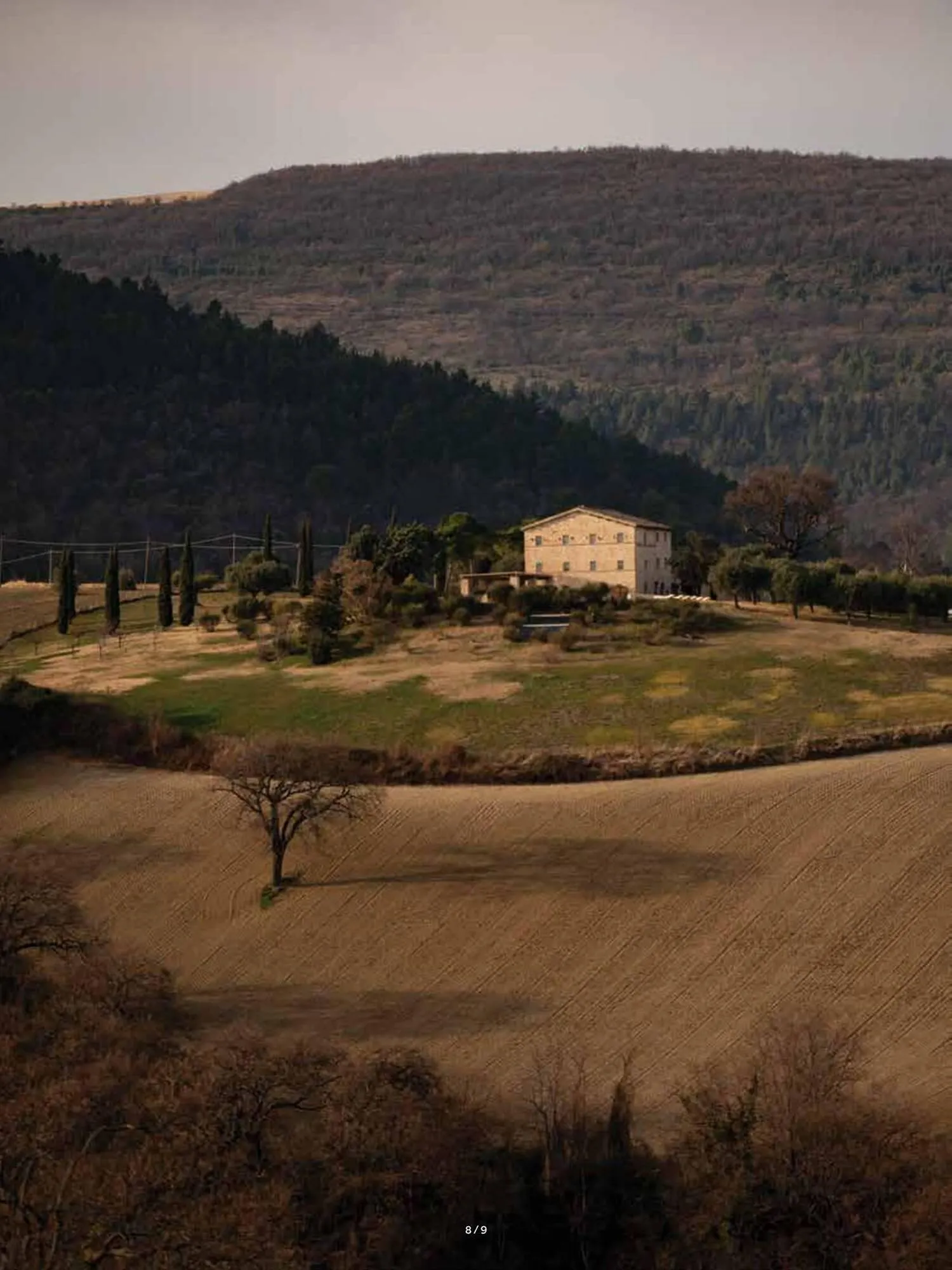 Volantino Fazzini da 21 ottobre a 31 dicembre di 2025 - Pagina del volantino 12