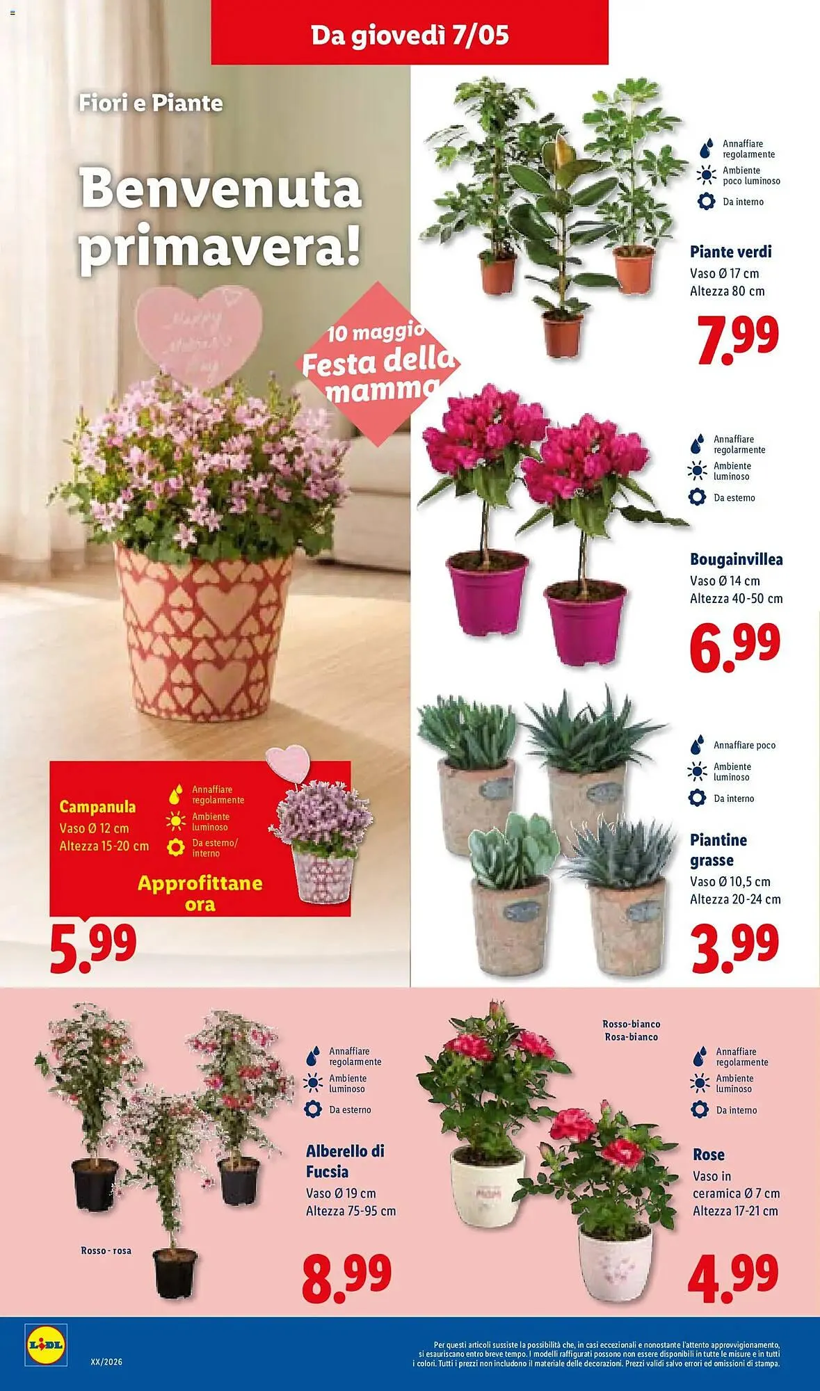 Volantino Lidl da 7 maggio a 13 maggio di 2026 - Pagina del volantino 30