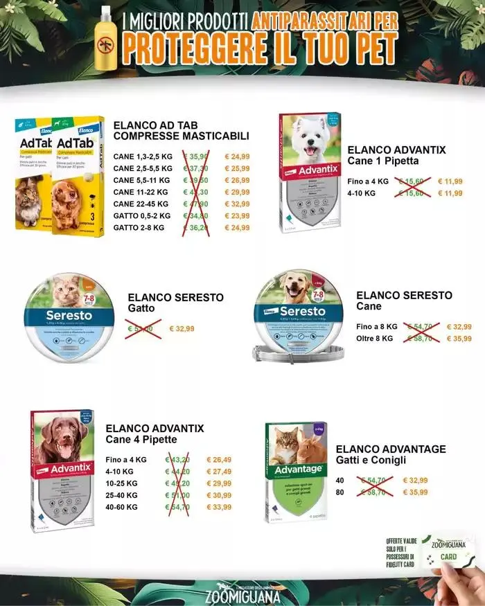 Protegi il tuo pet da 10 marzo a 16 marzo di 2025 - Pagina del volantino 2