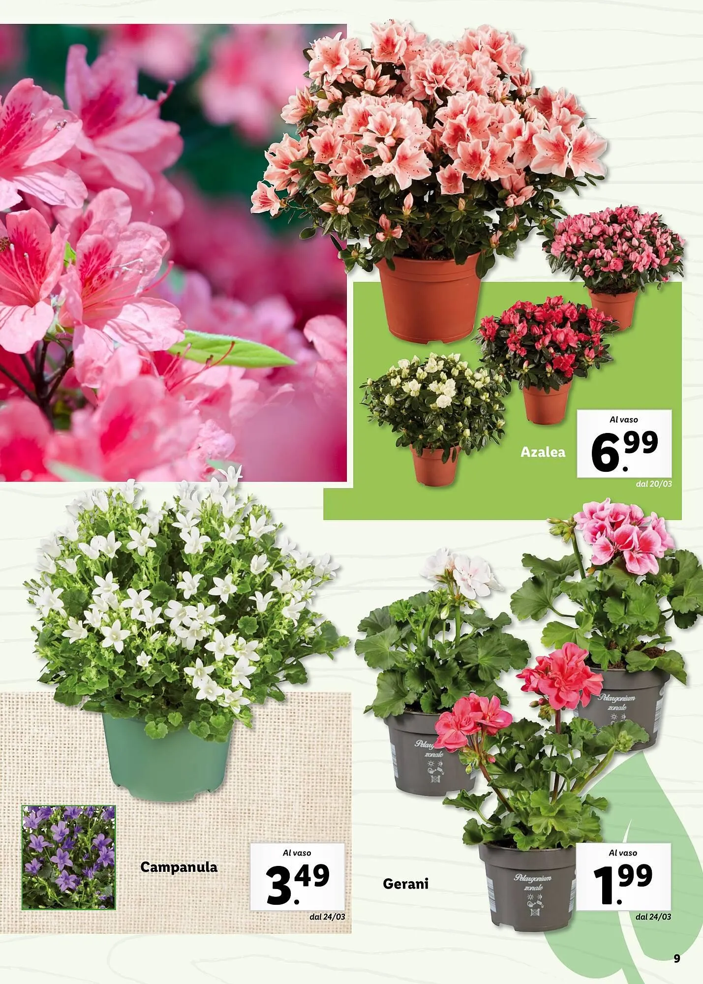 Volantino Lidl da 4 aprile a 31 maggio di 2025 - Pagina del volantino 9