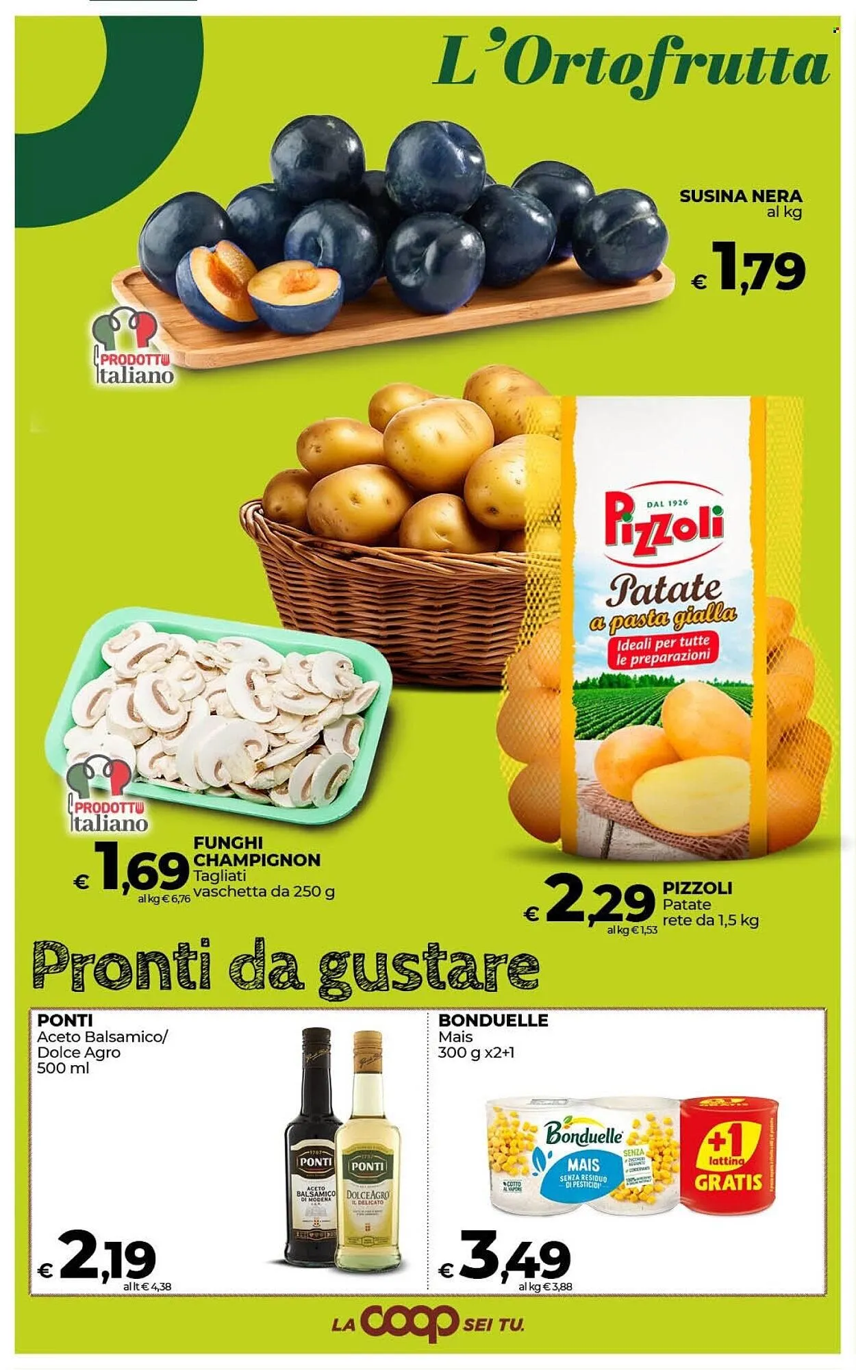 Volantino Coop Radenza da 1 agosto a 11 agosto di 2025 - Pagina del volantino 17