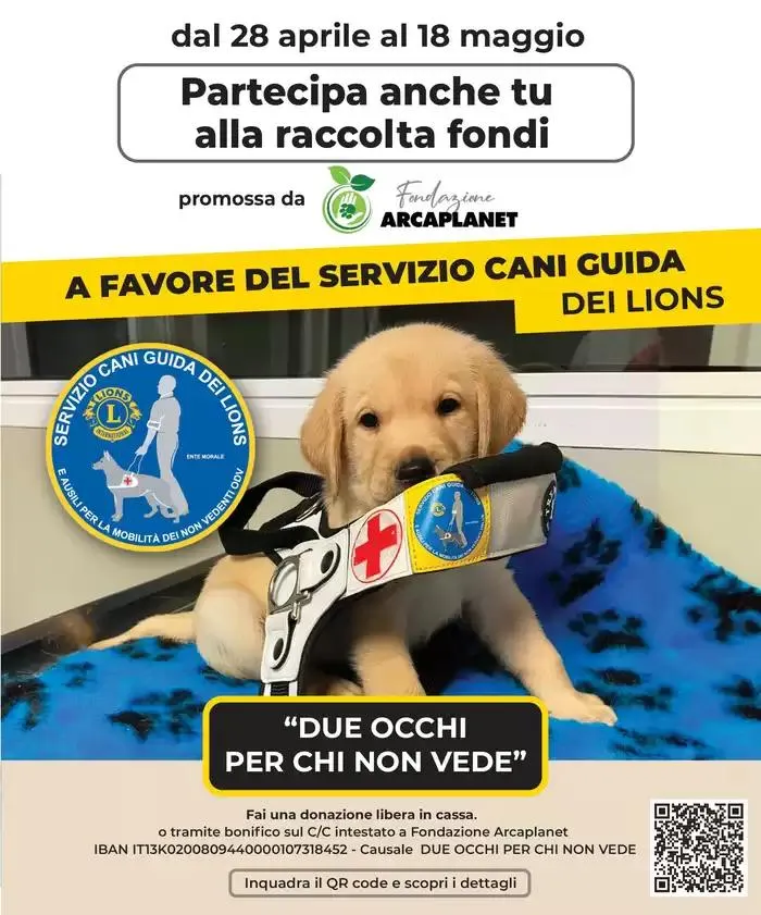 Offerte imperdibili da 9 maggio a 18 maggio di 2025 - Pagina del volantino 26