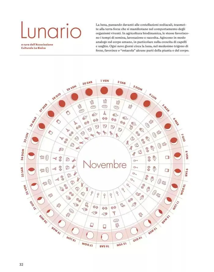 Novembre - Dicembre 2024 da 5 novembre a 31 dicembre di 2024 - Pagina del volantino 25