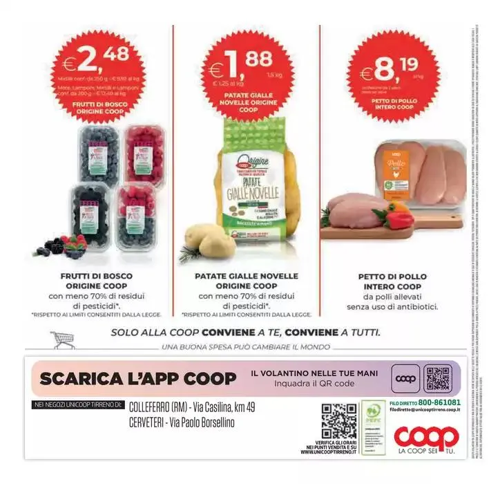 Grandi marche da 8 maggio a 21 maggio di 2025 - Pagina del volantino 28