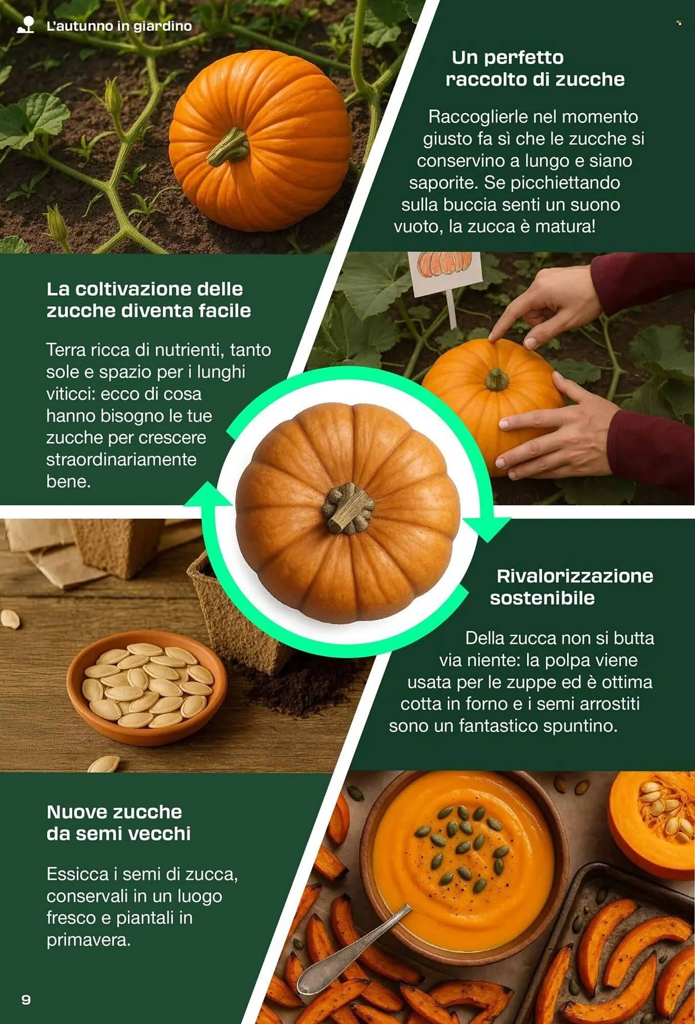 Volantino Lidl da 30 agosto a 29 novembre di 2025 - Pagina del volantino 9