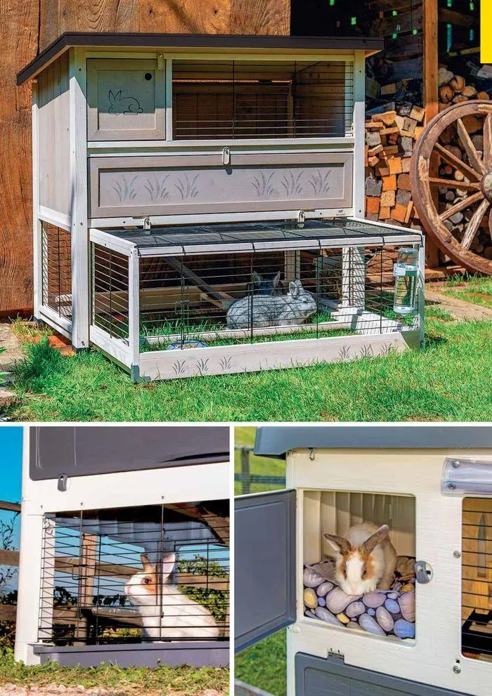 Small animals and birds da 6 maggio a 30 settembre di 2025 - Pagina del volantino 76