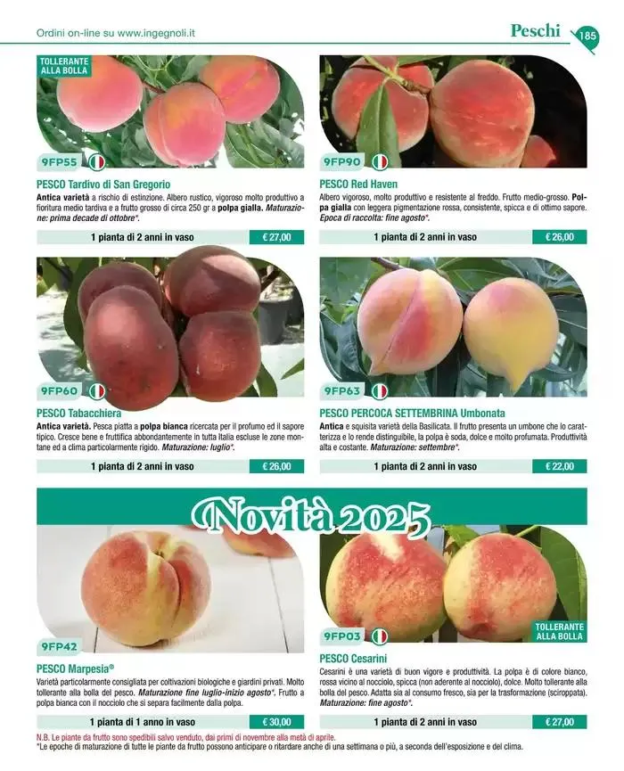 Catalogo guida 2025 da 20 gennaio a 31 dicembre di 2025 - Pagina del volantino 187