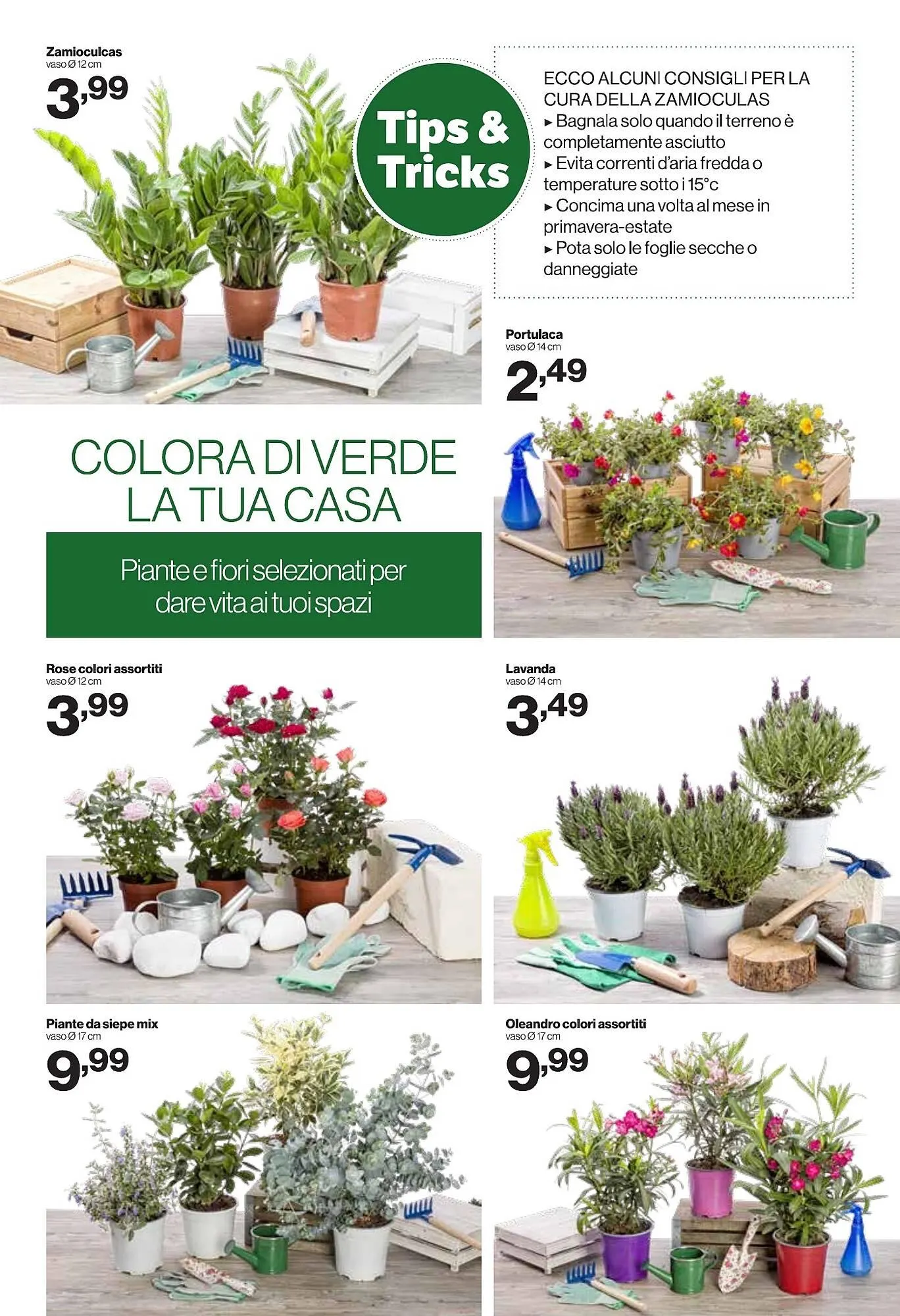 Volantino In'S Mercato da 21 maggio a 1 giugno di 2025 - Pagina del volantino 16