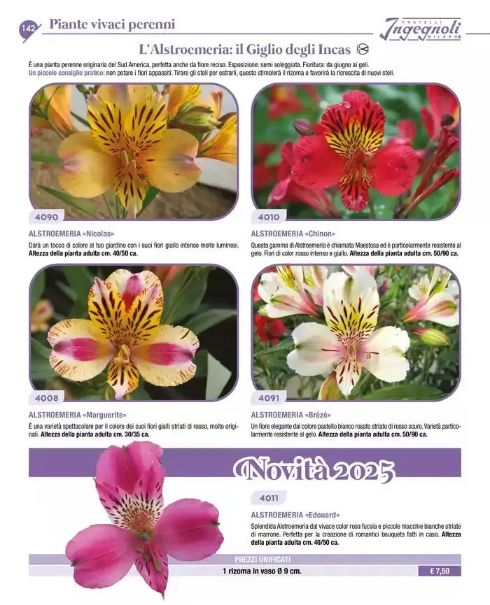 Novita da 4 novembre a 31 dicembre di 2025 - Pagina del volantino 15