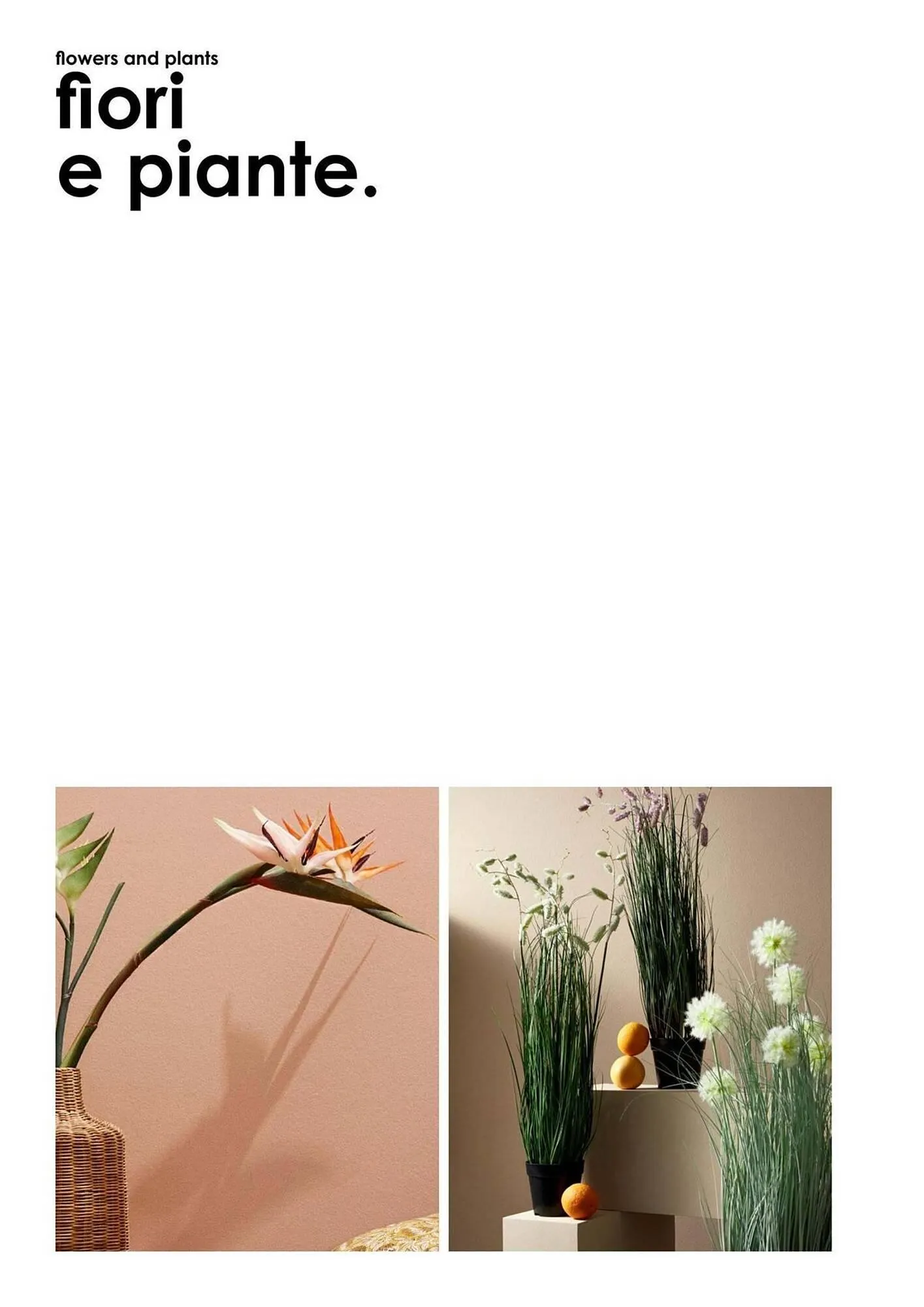 Volantino Bizzotto da 21 gennaio a 31 dicembre di 2025 - Pagina del volantino 177