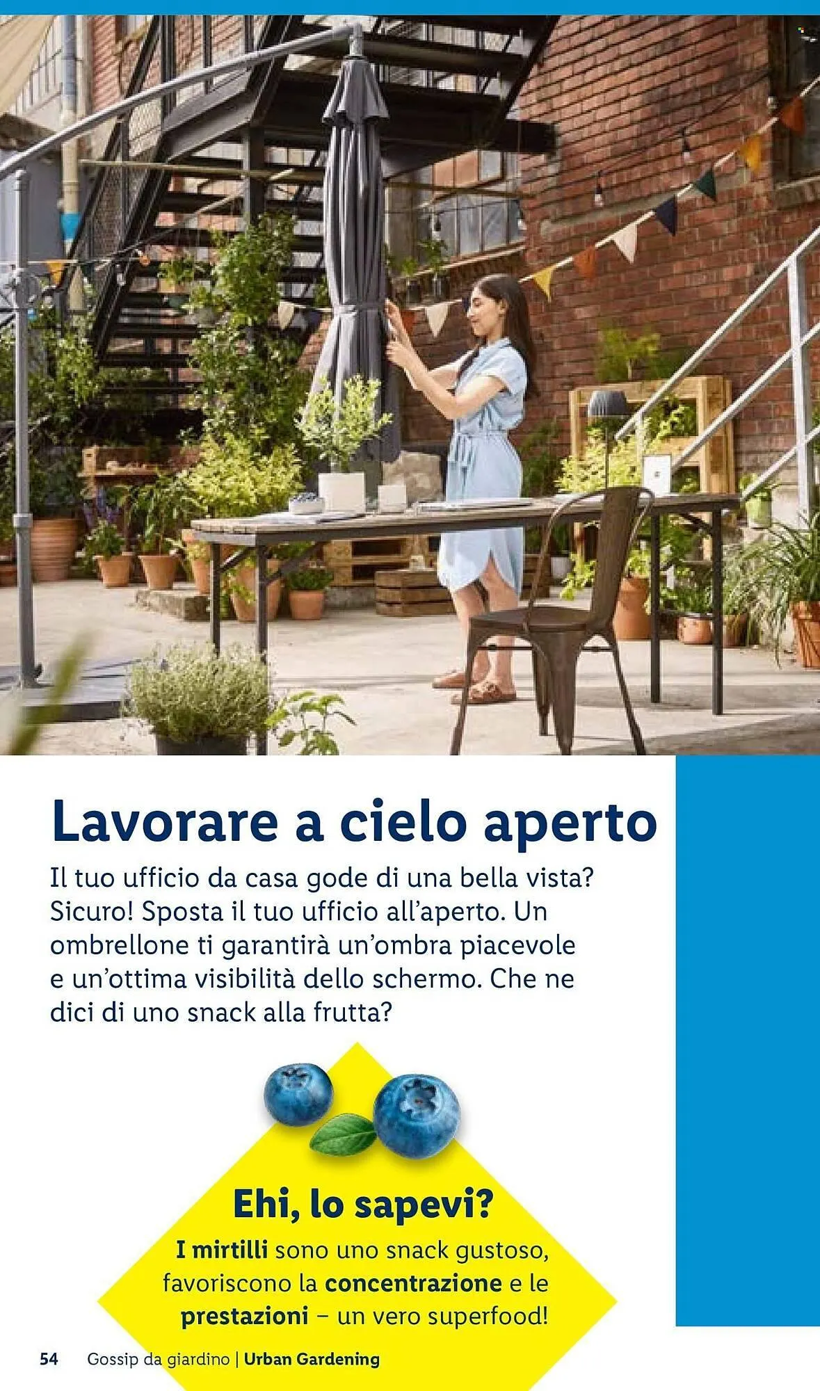 Volantino Lidl da 22 aprile a 30 aprile di 2026 - Pagina del volantino 54