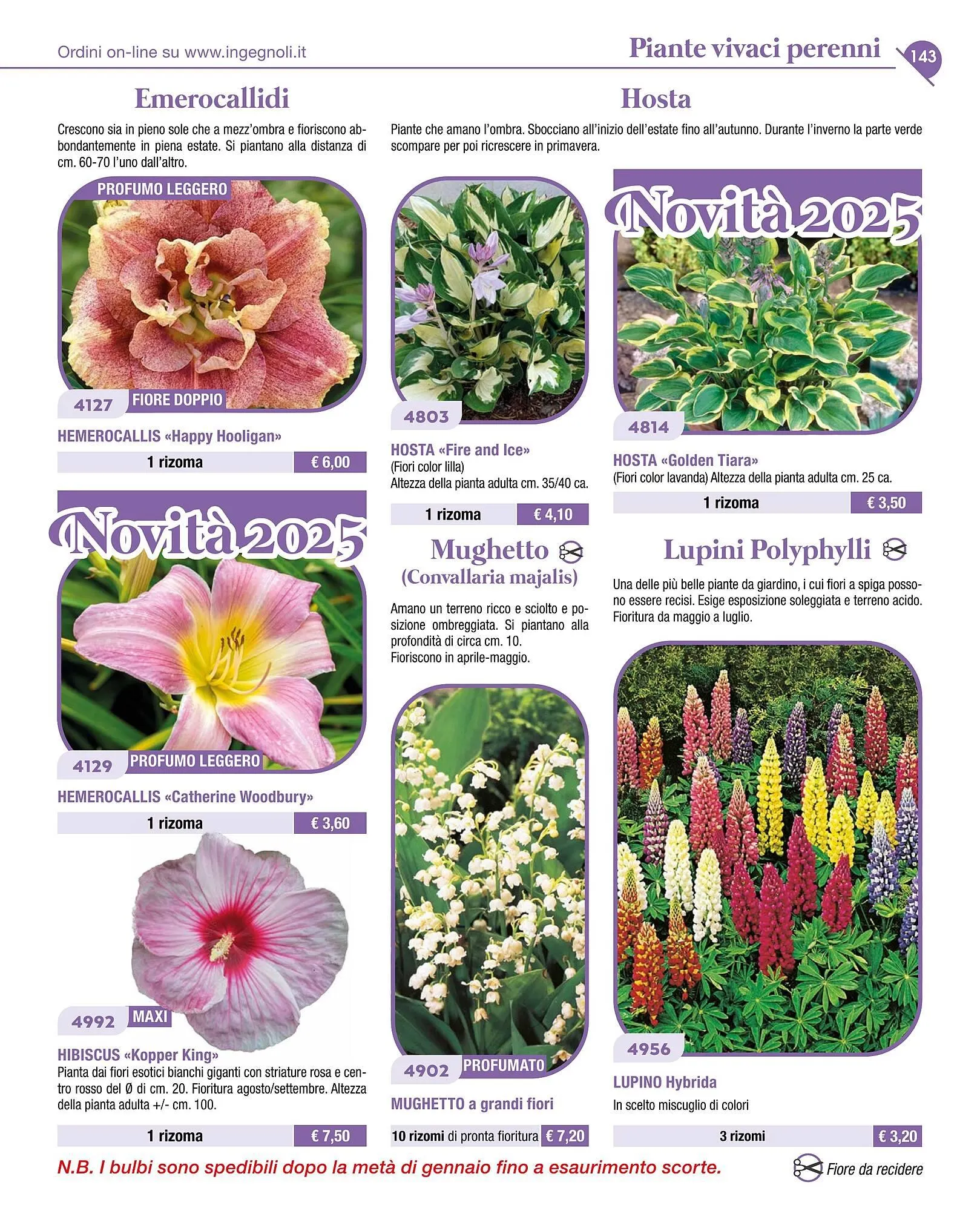 Volantino Ingegnoli da 4 novembre a 31 dicembre di 2025 - Pagina del volantino 145
