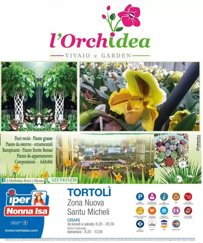 Buon Natale da 16 dicembre a 24 dicembre di 2024 - Pagina del volantino 32