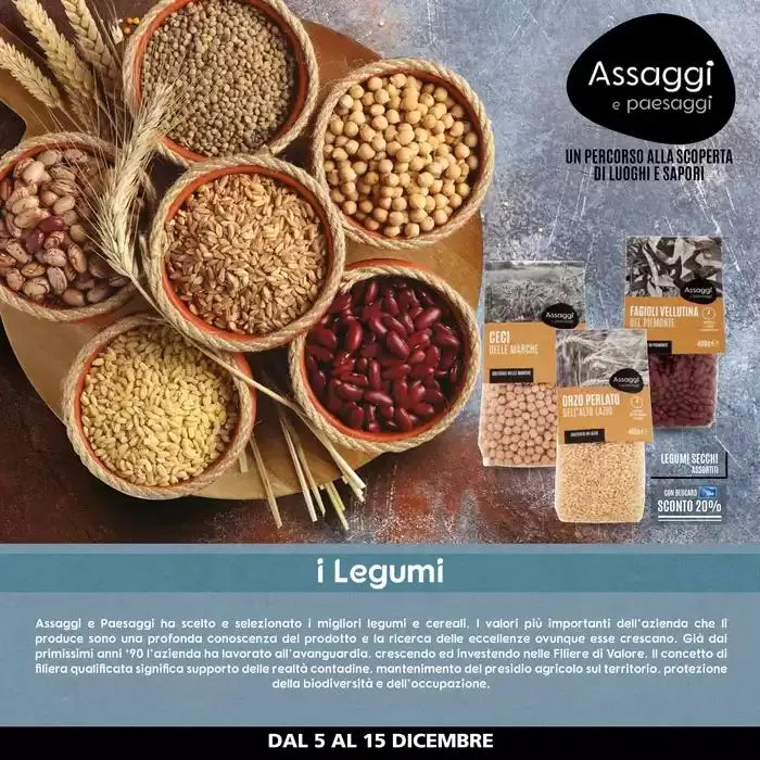 Sottocosto  da 5 dicembre a 15 dicembre di 2024 - Pagina del volantino 26