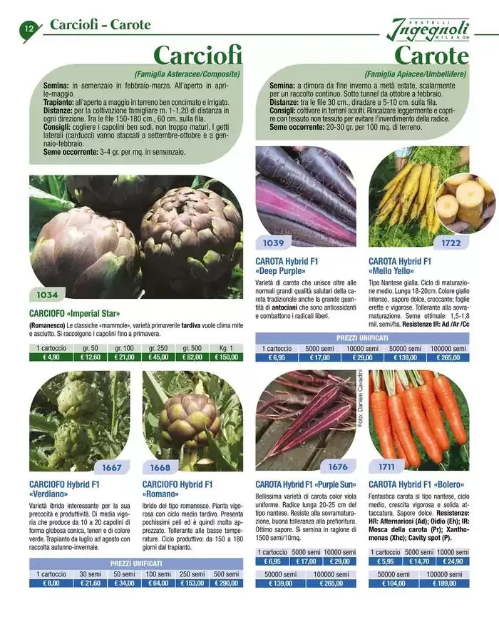 Catalogo guida 2025 da 20 gennaio a 31 dicembre di 2025 - Pagina del volantino 14