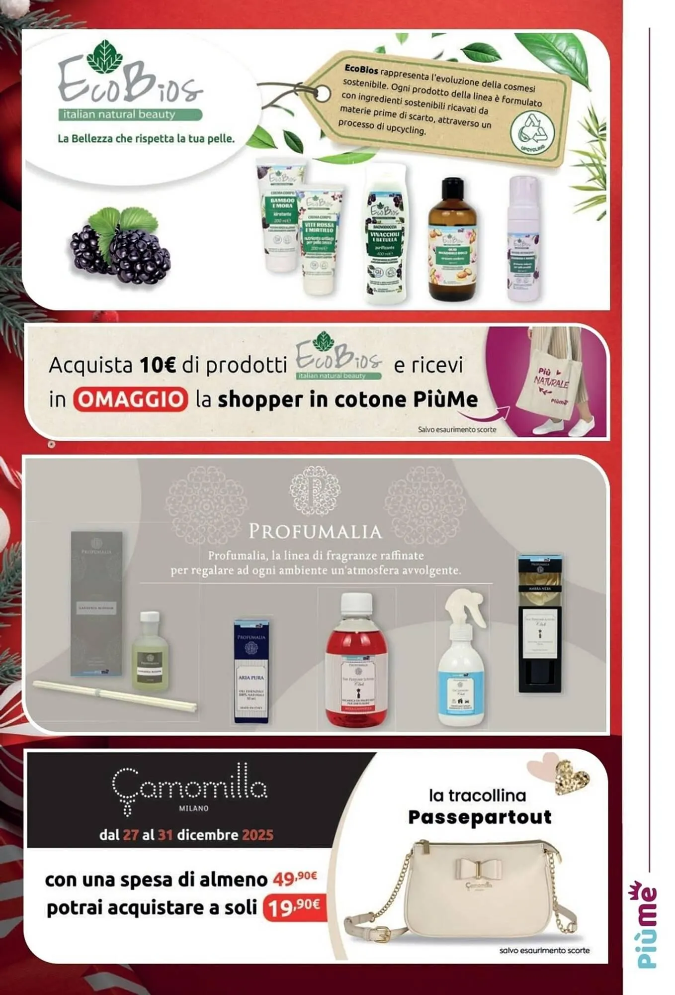 Volantino PiùMe da 15 dicembre a 4 gennaio di 2026 - Pagina del volantino 11