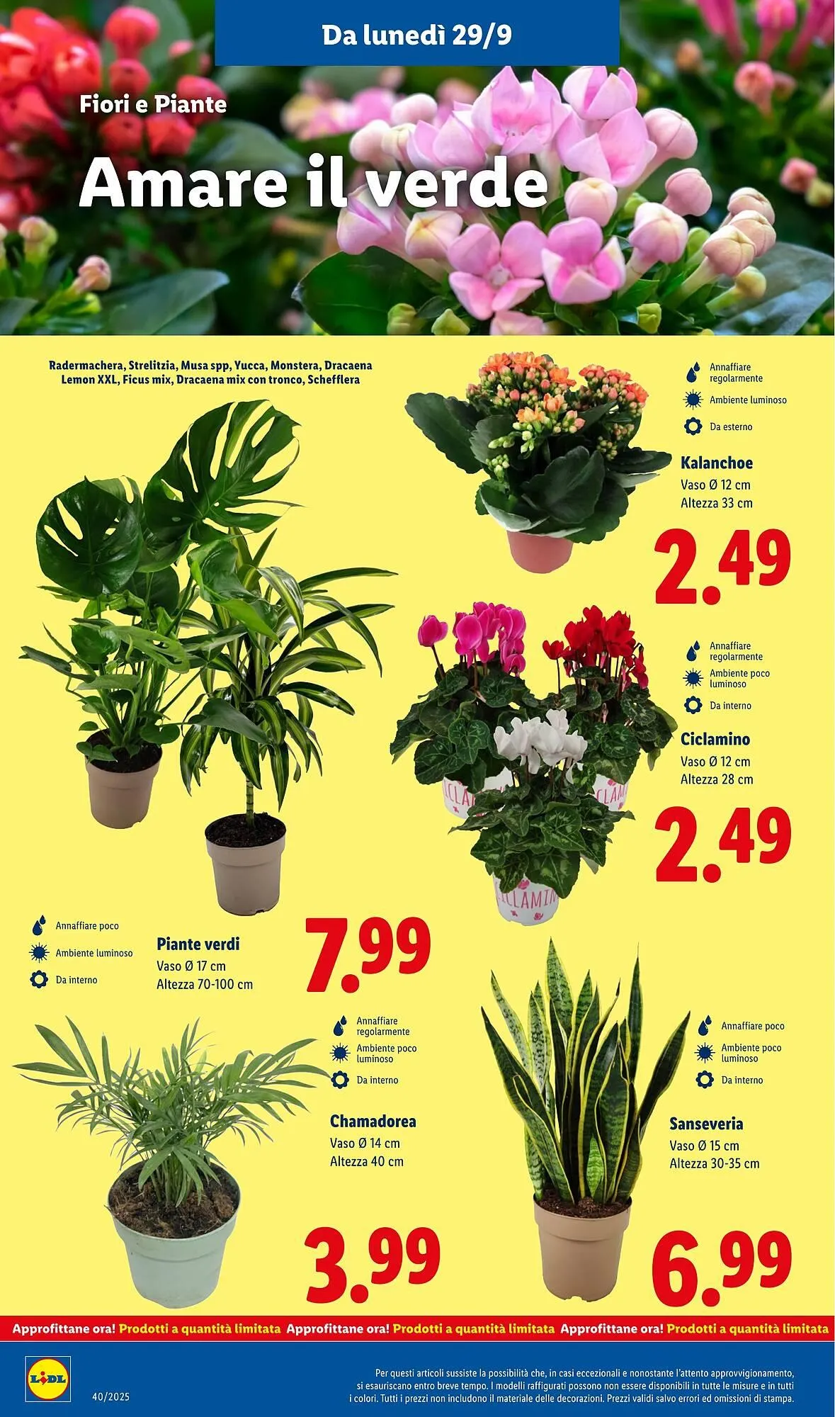 Volantino Lidl da 29 settembre a 5 ottobre di 2025 - Pagina del volantino 30
