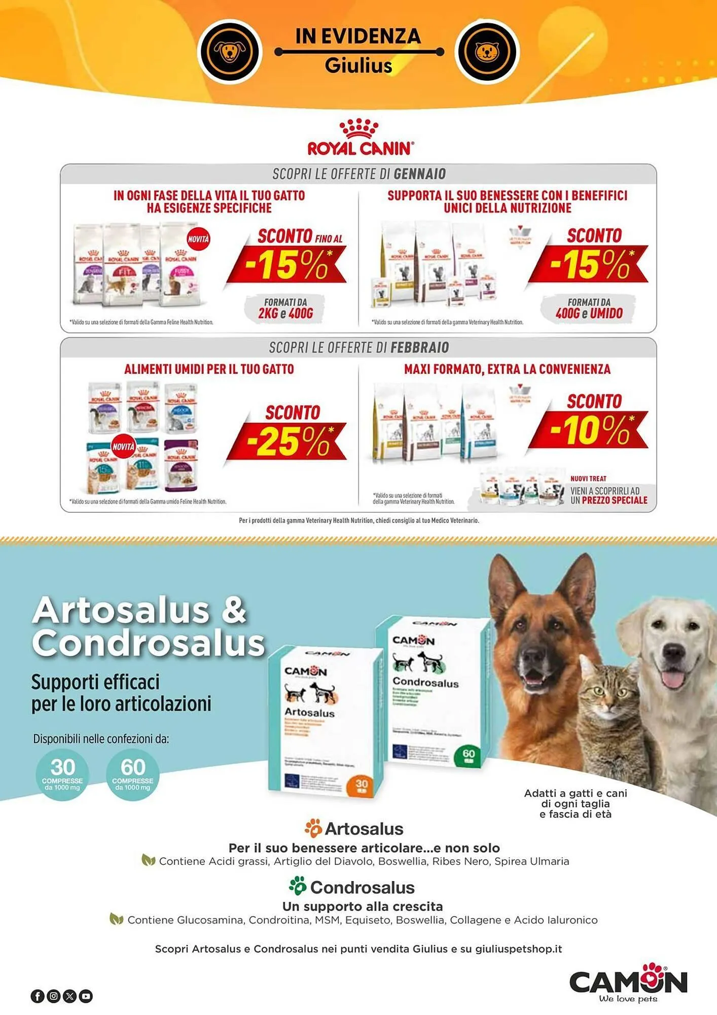 Volantino Giulius da 5 gennaio a 28 febbraio di 2026 - Pagina del volantino 6