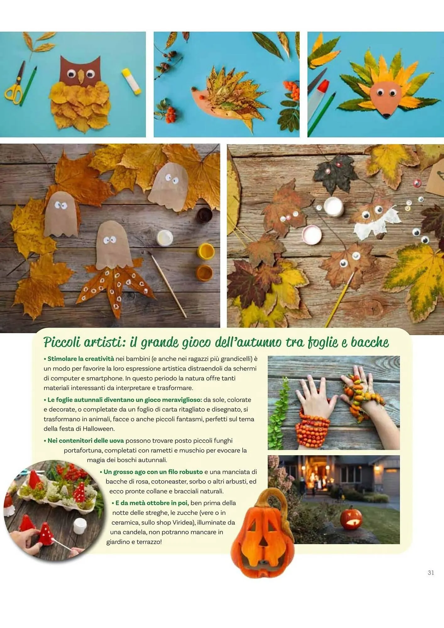 Volantino Viridea da 17 ottobre a 22 dicembre di 2025 - Pagina del volantino 31