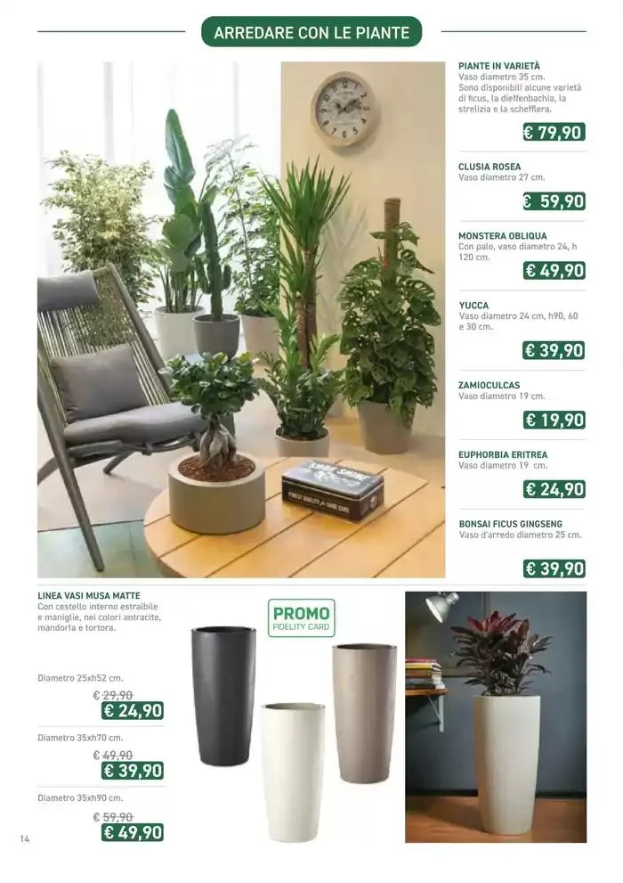 Festa di Primavera da 13 marzo a 13 aprile di 2025 - Pagina del volantino 14