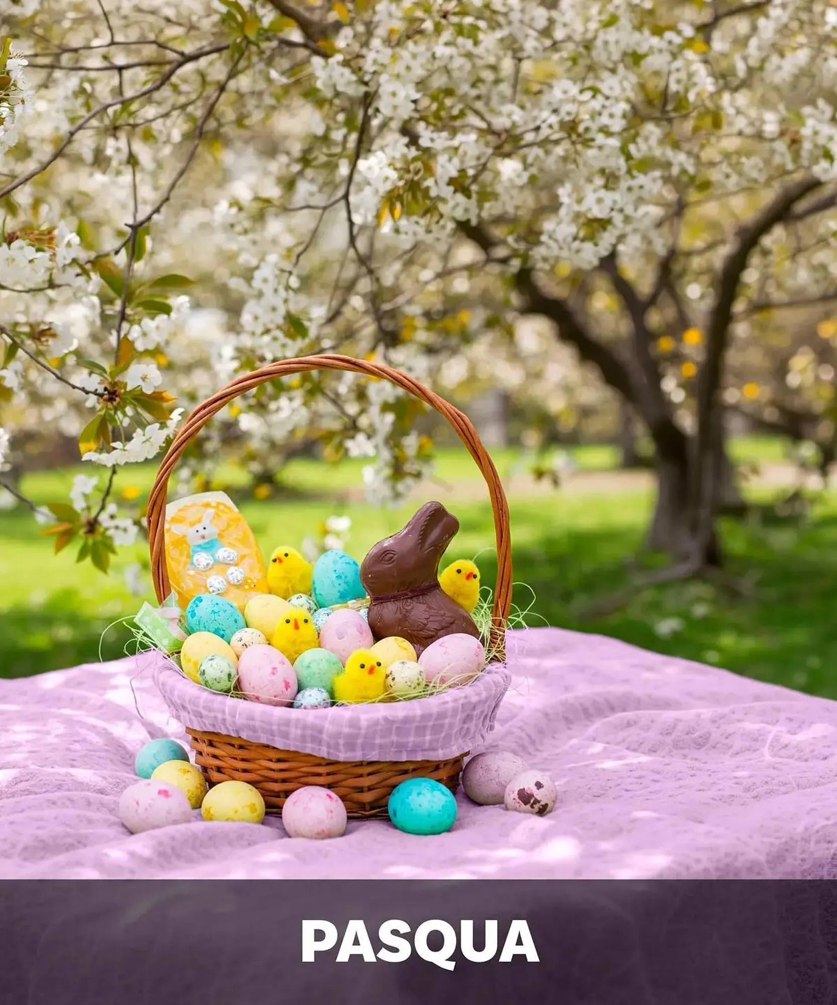 Volantino Max Factory da 16 marzo a 6 aprile di 2026 - Pagina del volantino 27