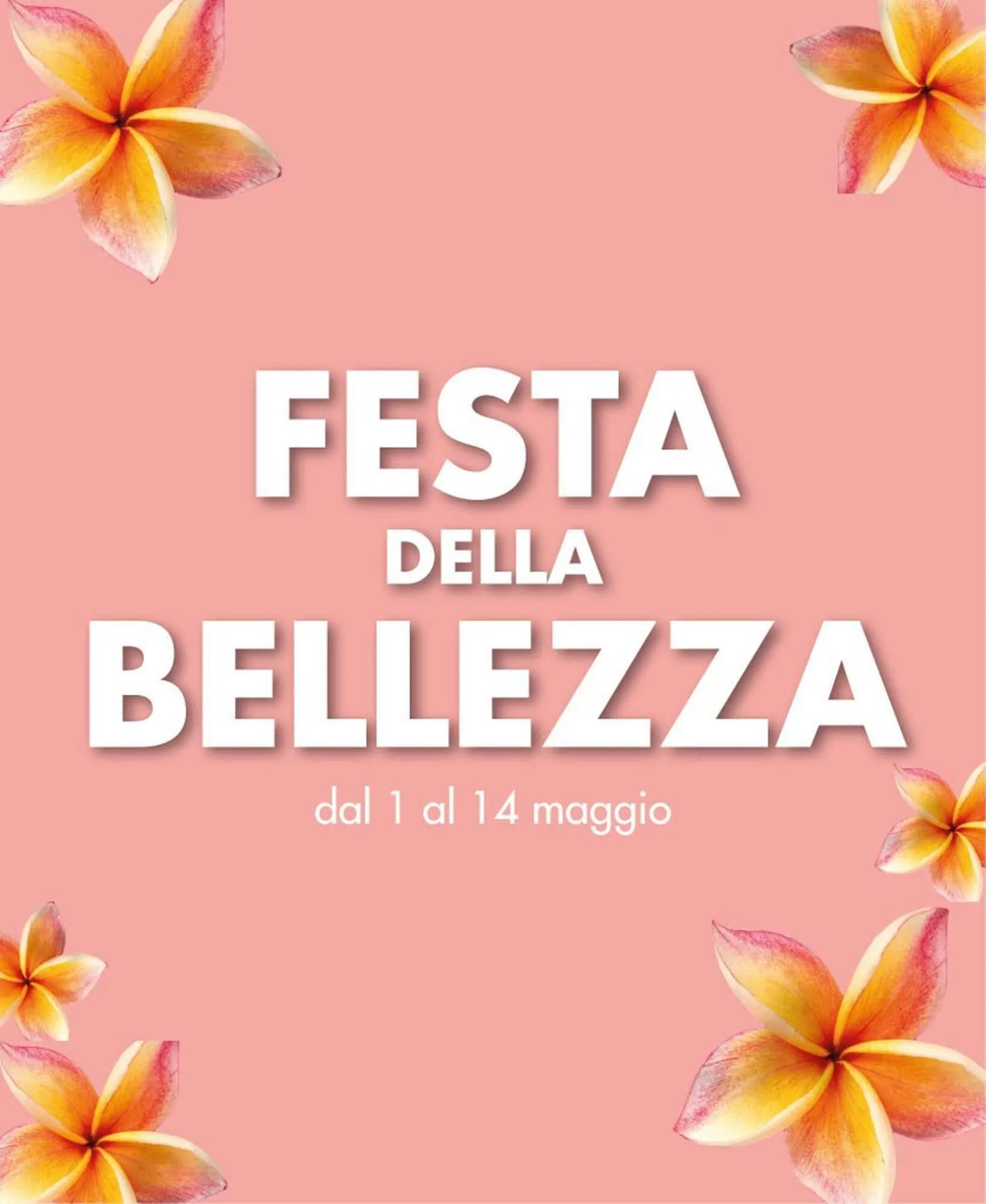 Volantino Cadoro - 1