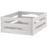 BAMA TINA CASSETTINA MULTIUSO COLOR PANNA 41x31x14H