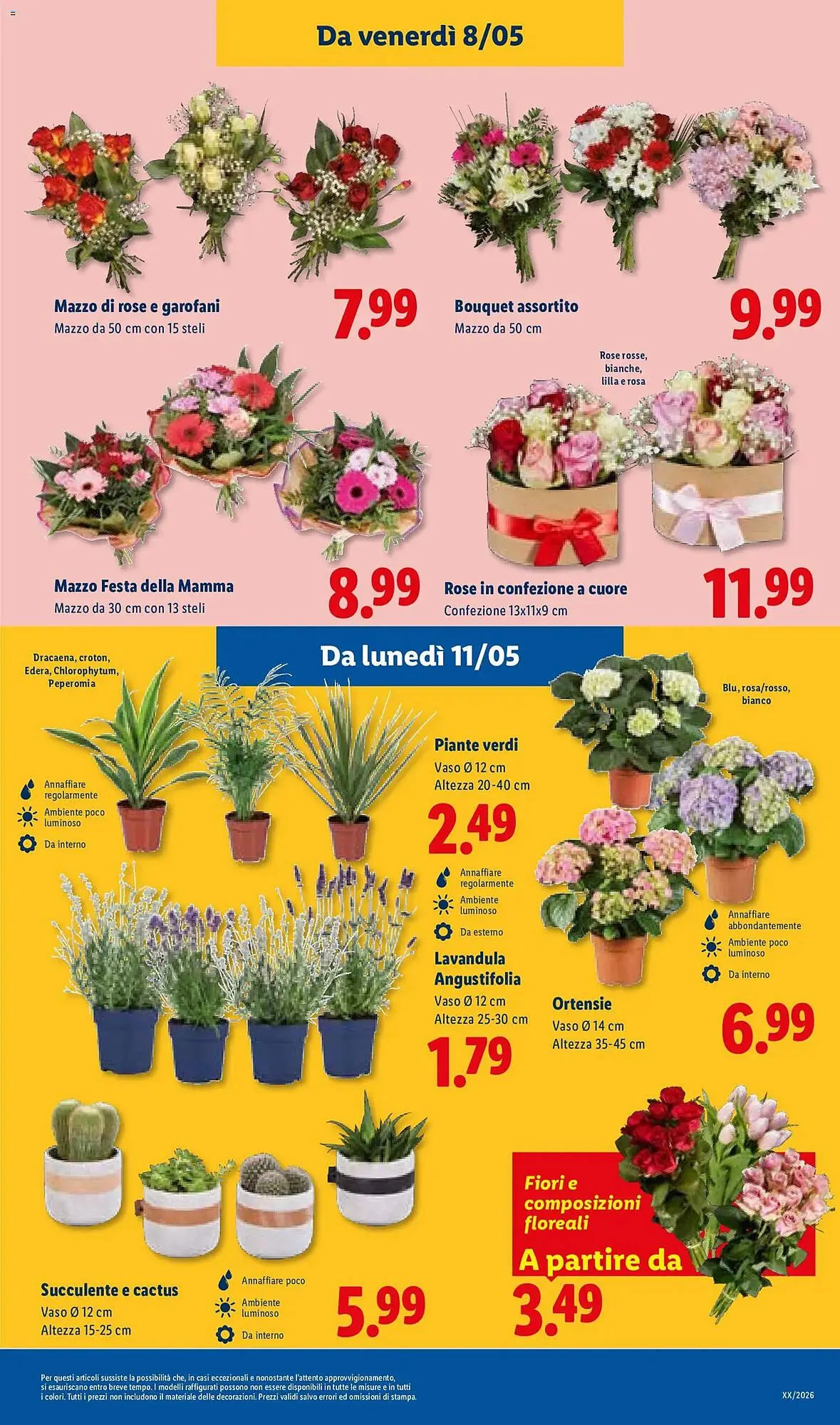 Volantino Lidl da 7 maggio a 13 maggio di 2026 - Pagina del volantino 31